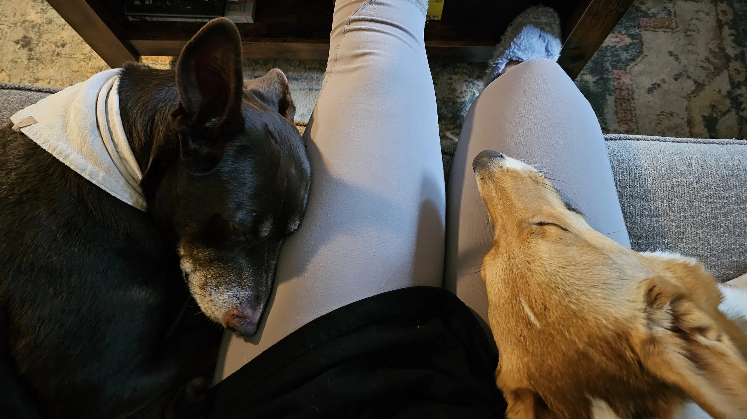 2023-11-23 16.13.52.jpg