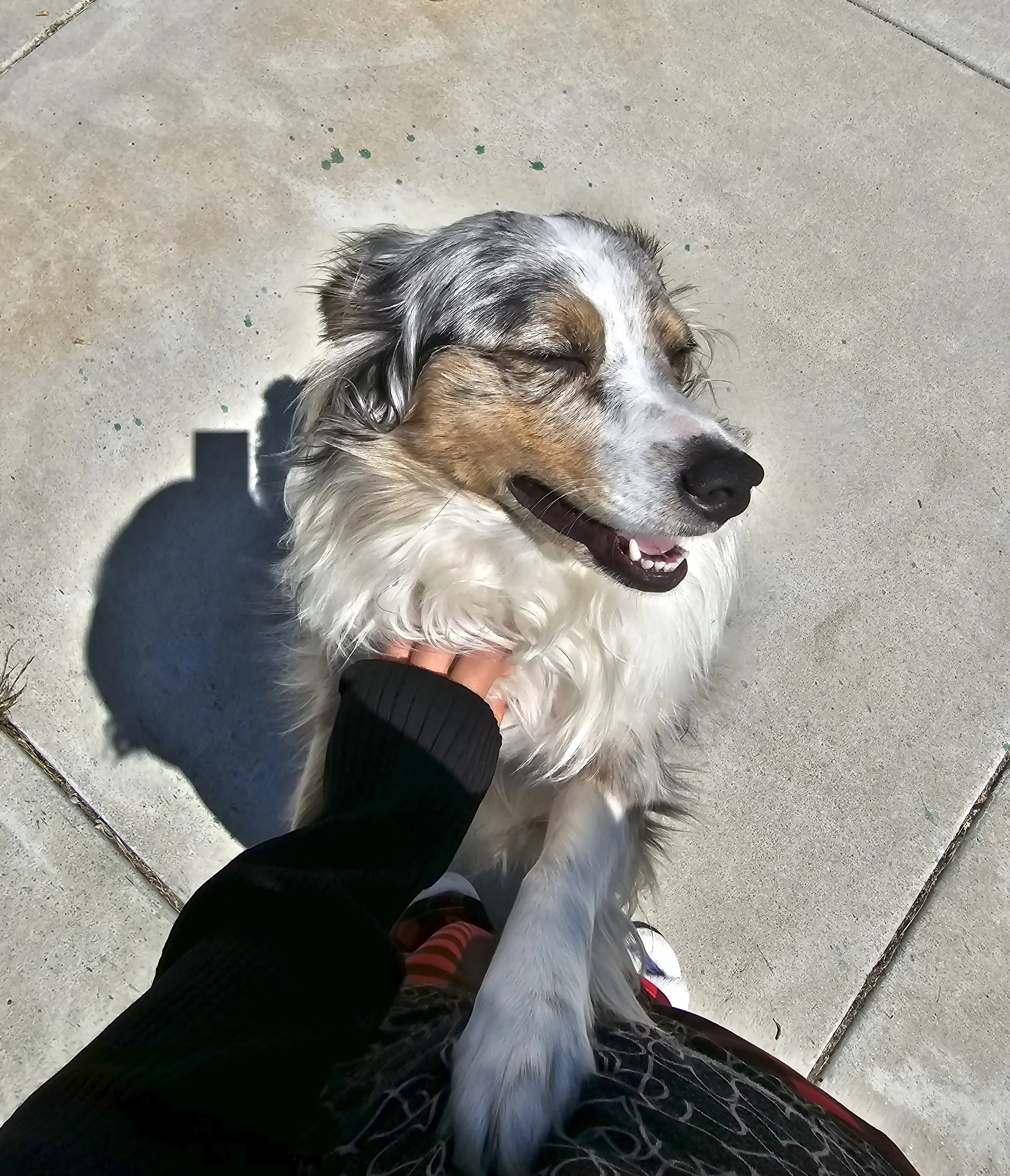 2023-06-24 10.52.17.jpg