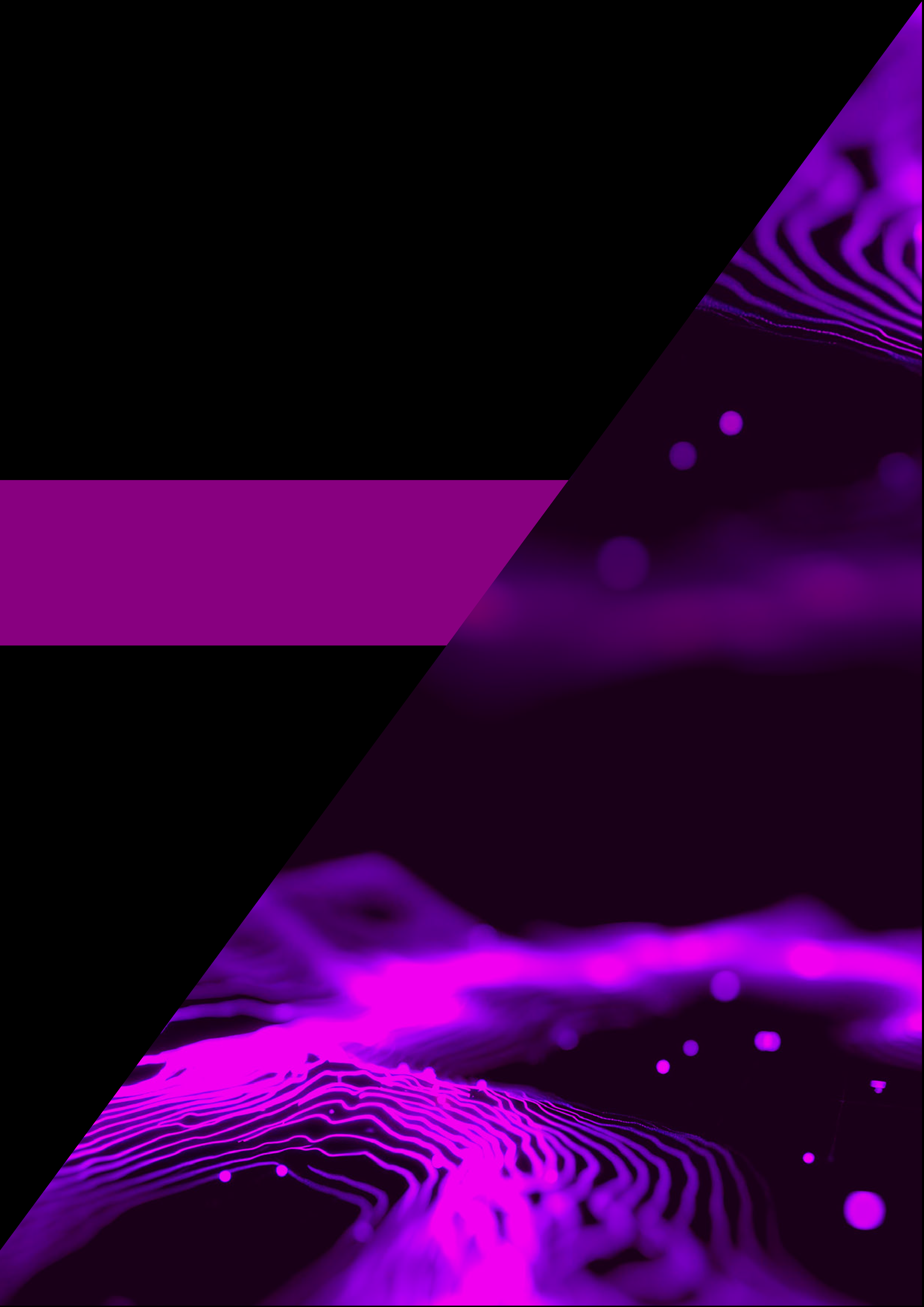 geophysical image.png