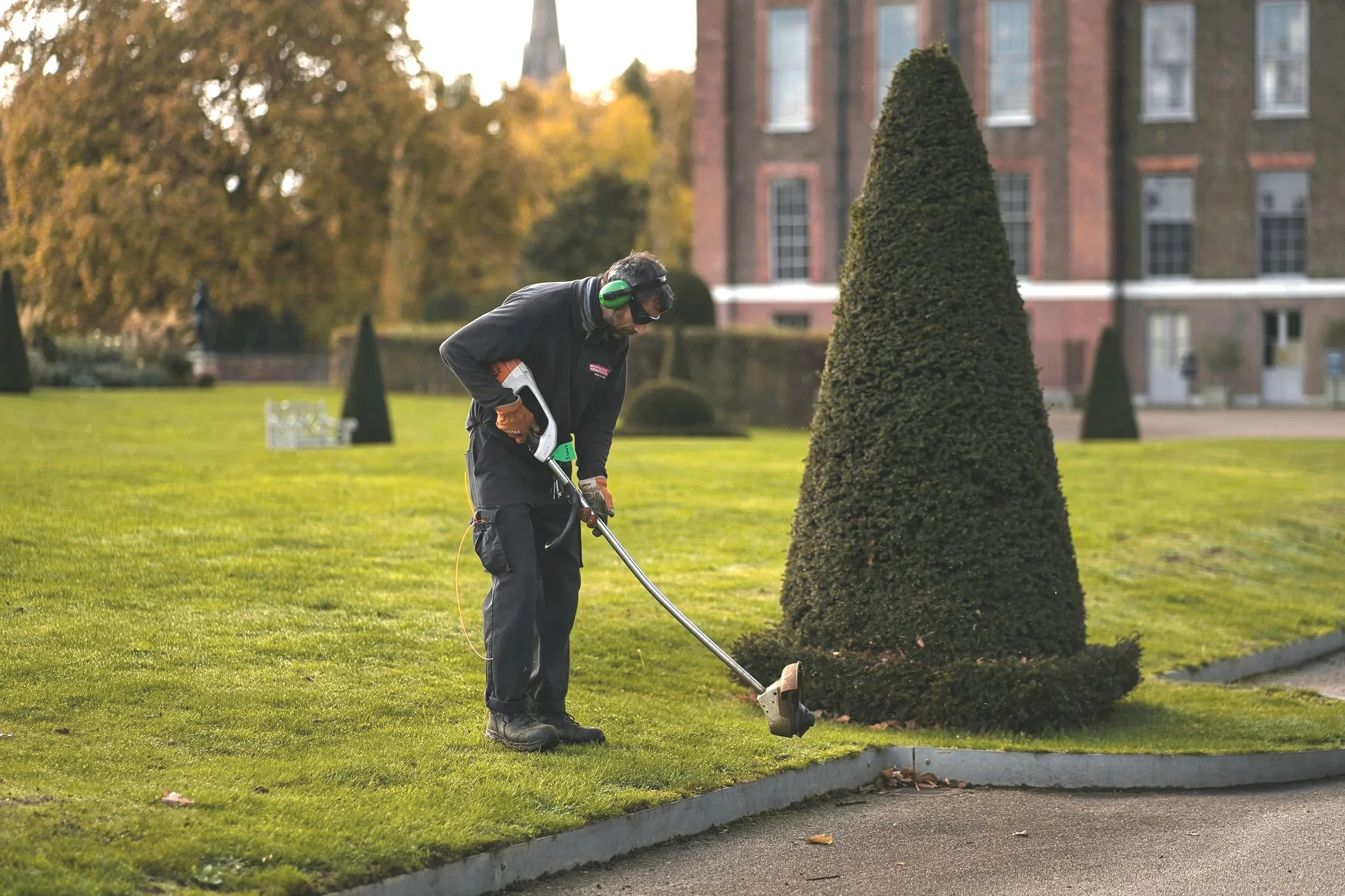 A person trimmed a bush with a cordless trimmer in a landscaped garden.