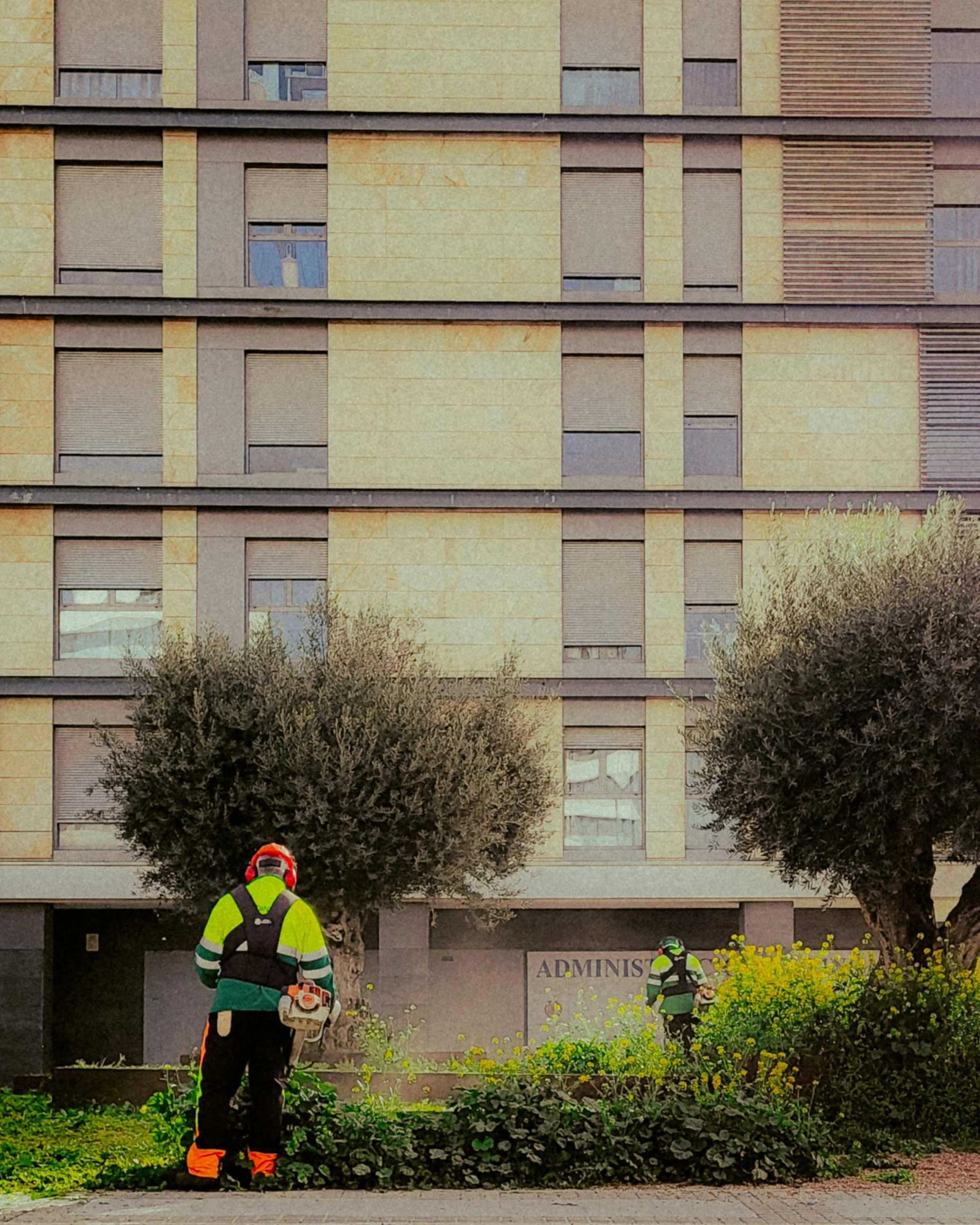 Two workers in neon safety vests and helmets gardening or maintaining plants outside a building with trees.