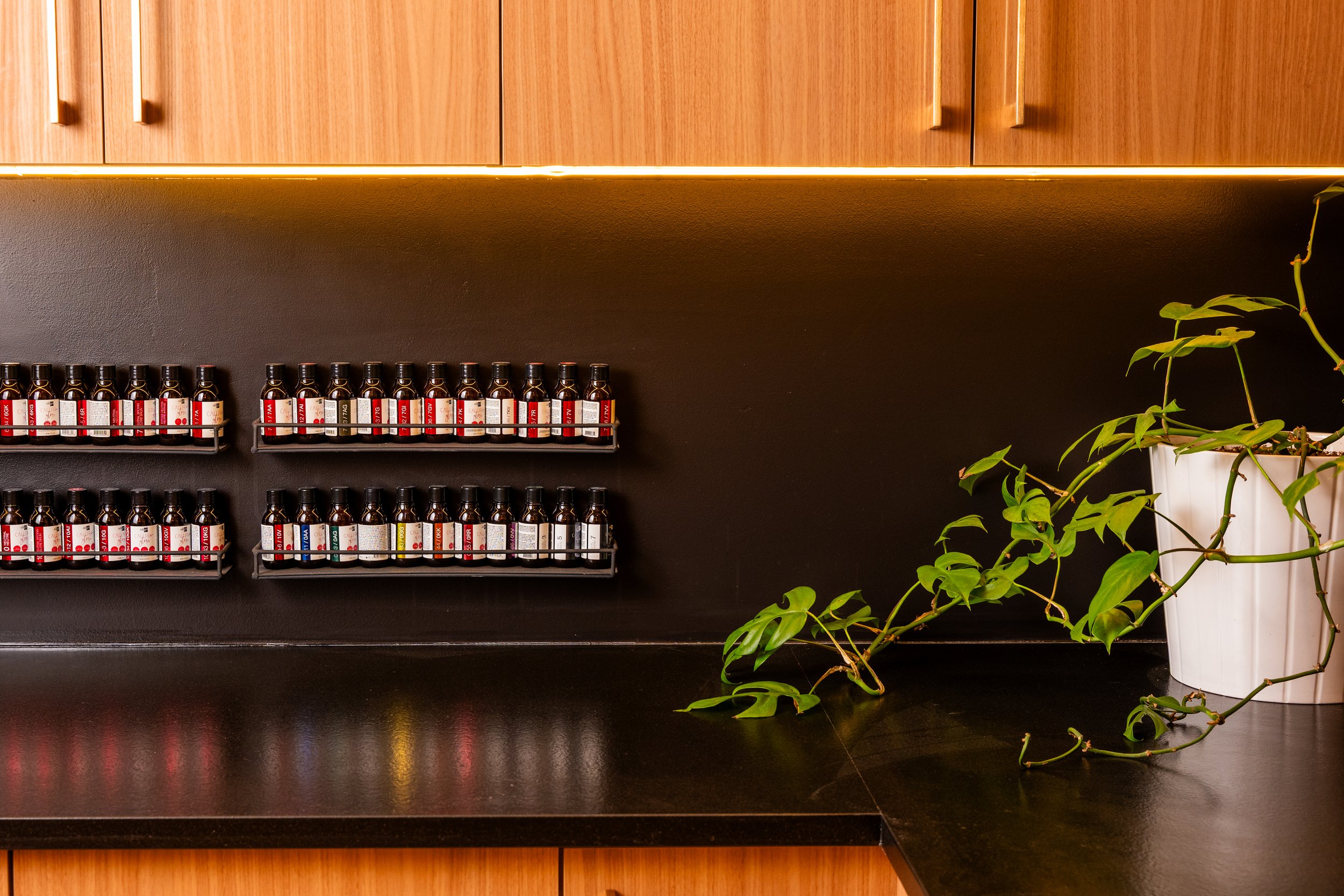 Kitchen with wooden cabinets, black countertop, wall-mounted spice bottles, and a potted vine plant.