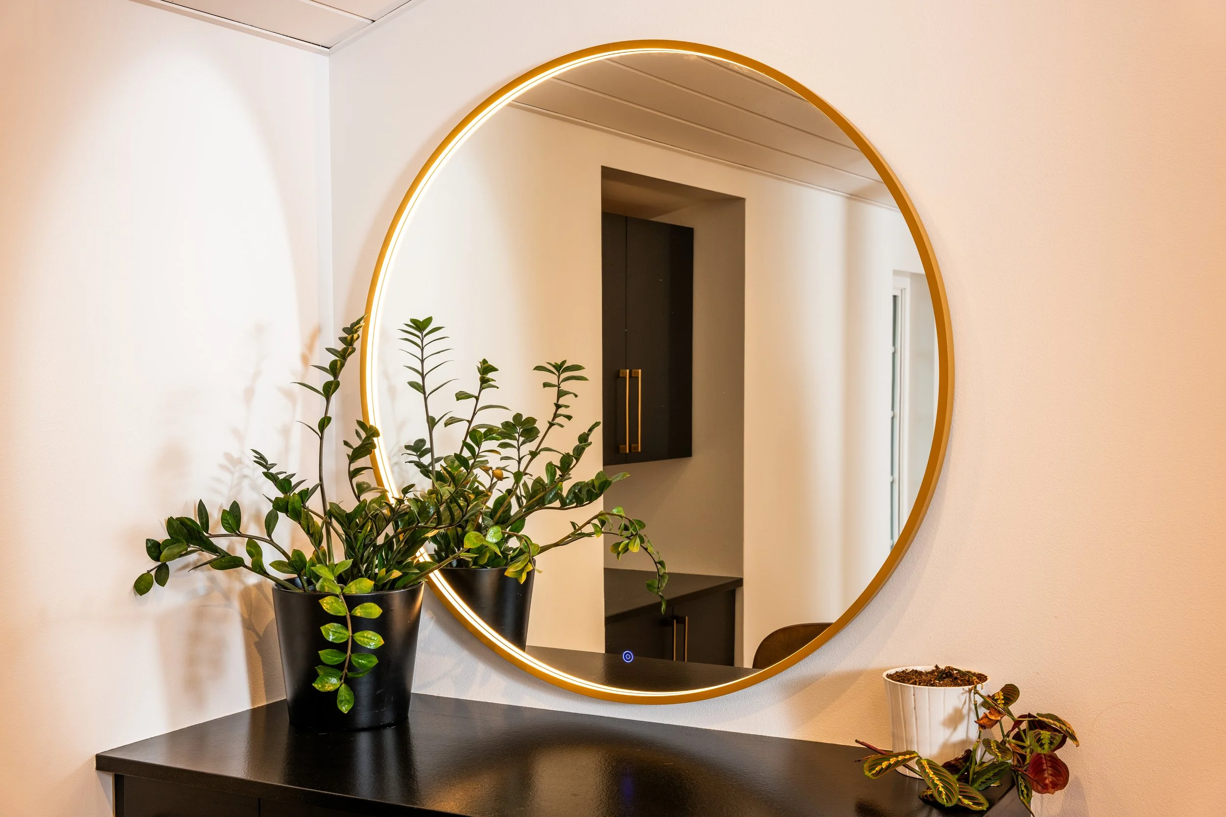 Decorative round mirror with LED lighting on a wall above a black console table, decorated with two potted plants.