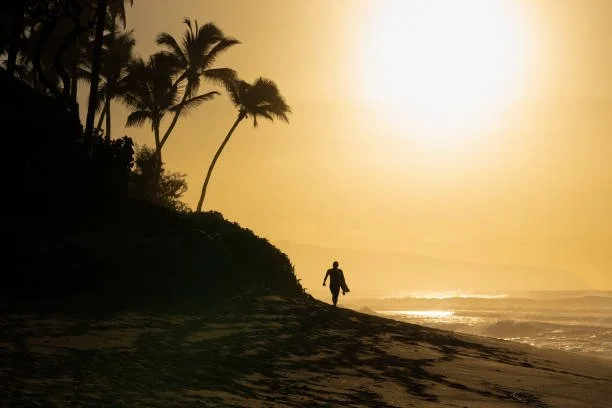 A person walking on a sandy beach at sunset, with palm trees on a small hill to the left, and the ocean in the background, evoking a sense of freedom.