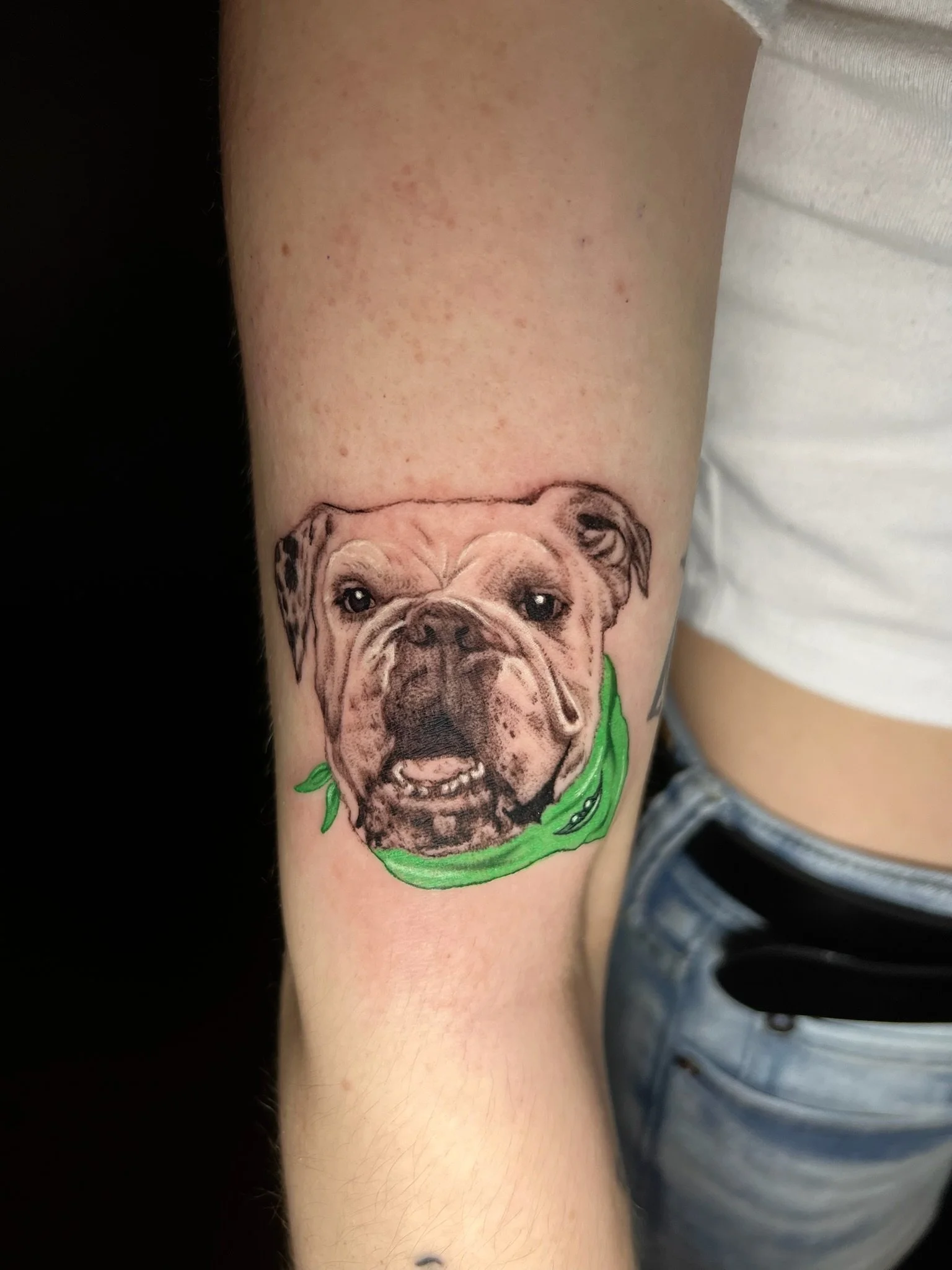 Tattoo of a dog's face, likely a bulldog, with a green bandana around its neck on a person's upper arm.