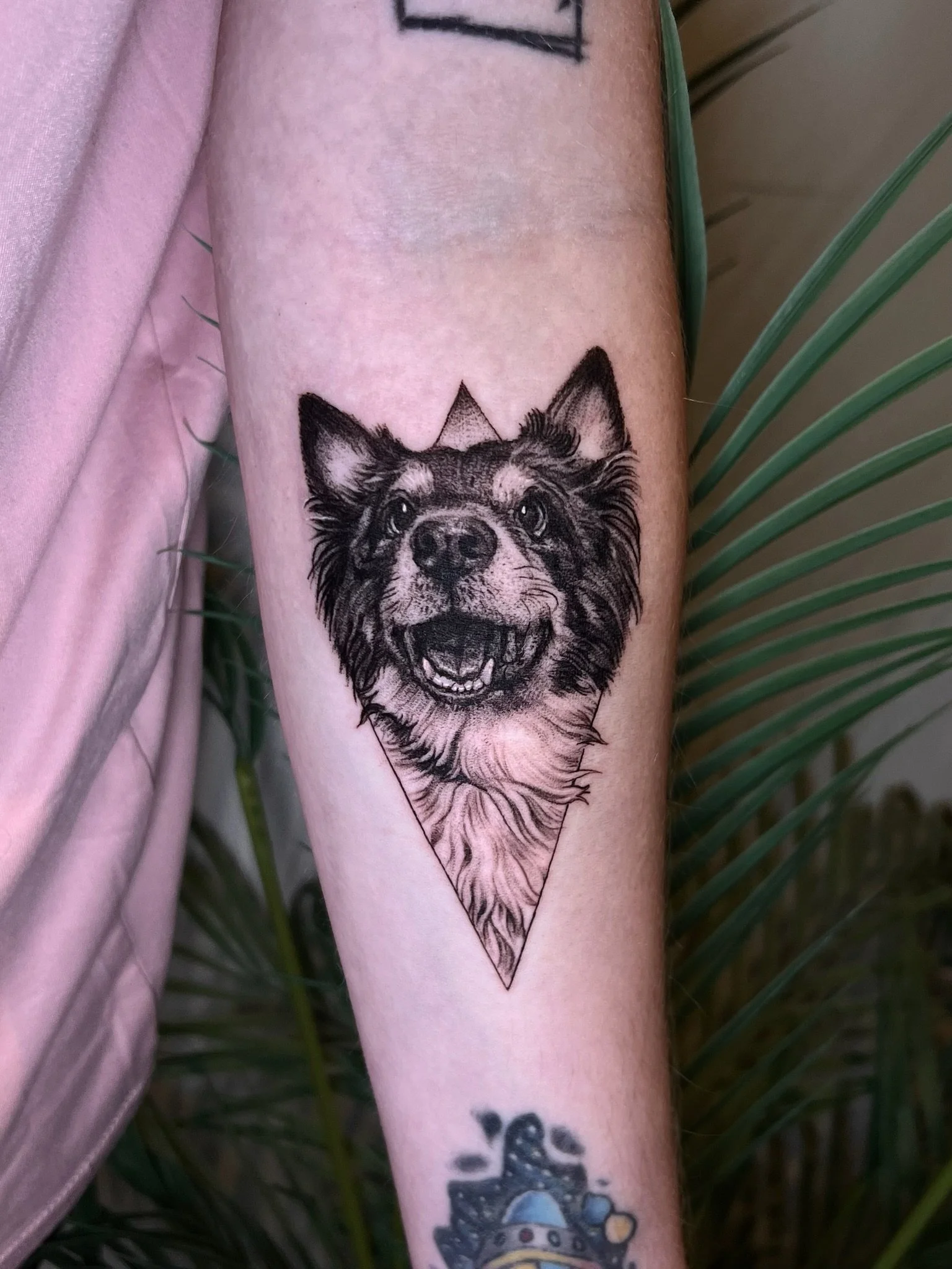 Tattoo of a black and white dog, likely a Siberian Husky, with its mouth open showing teeth and tongue, inside a downward-pointing triangle on a person's arm.