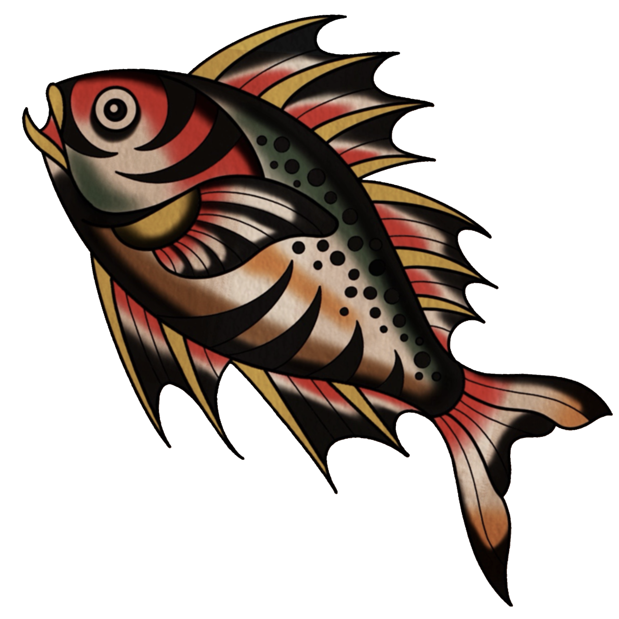 Colorful illustration of a fish with red, black, white, and gold markings and prominent dorsal fins.