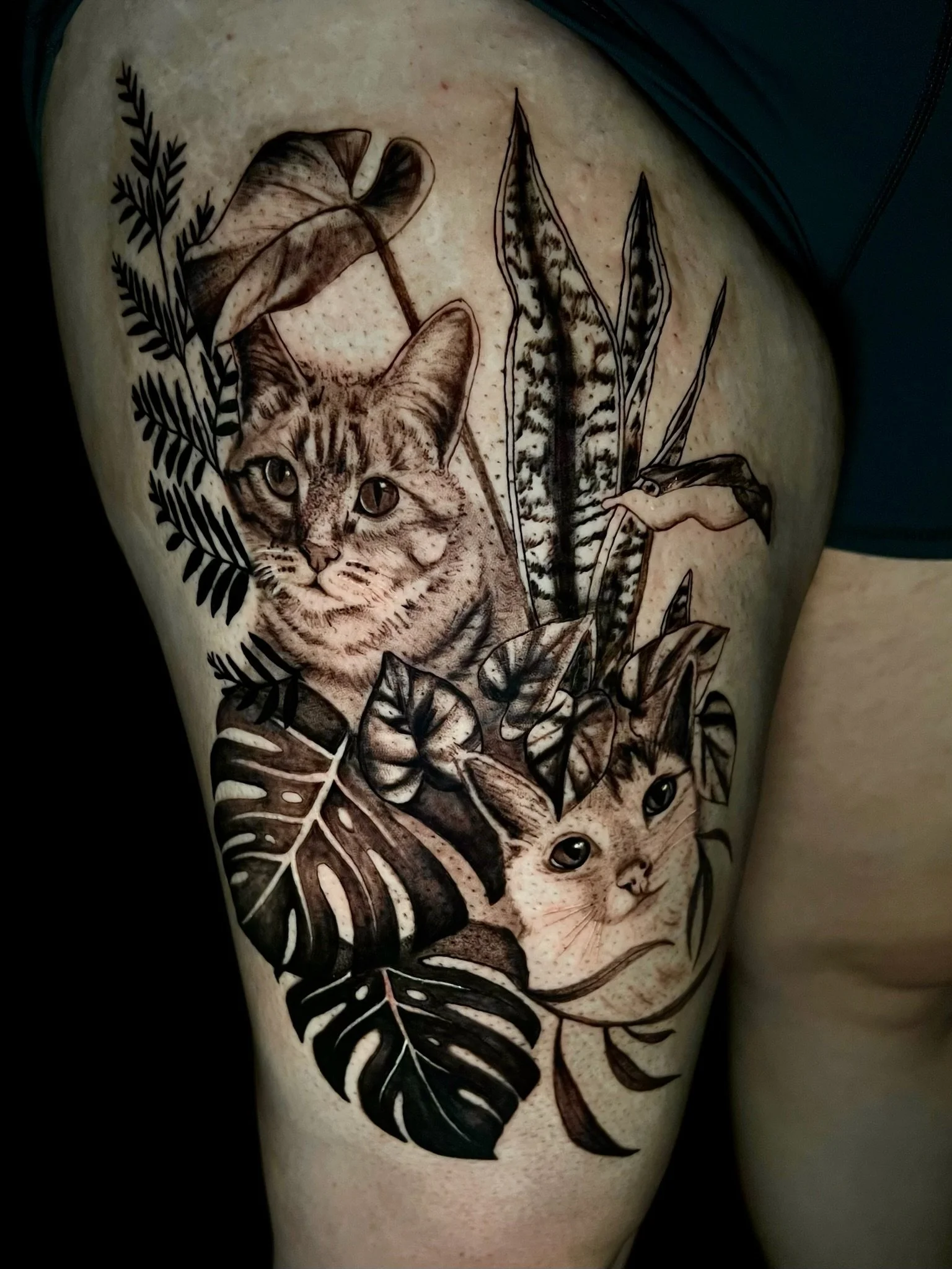 Tattoo of two cats surrounded by tropical leaves and plants, with detailed shading and line work.