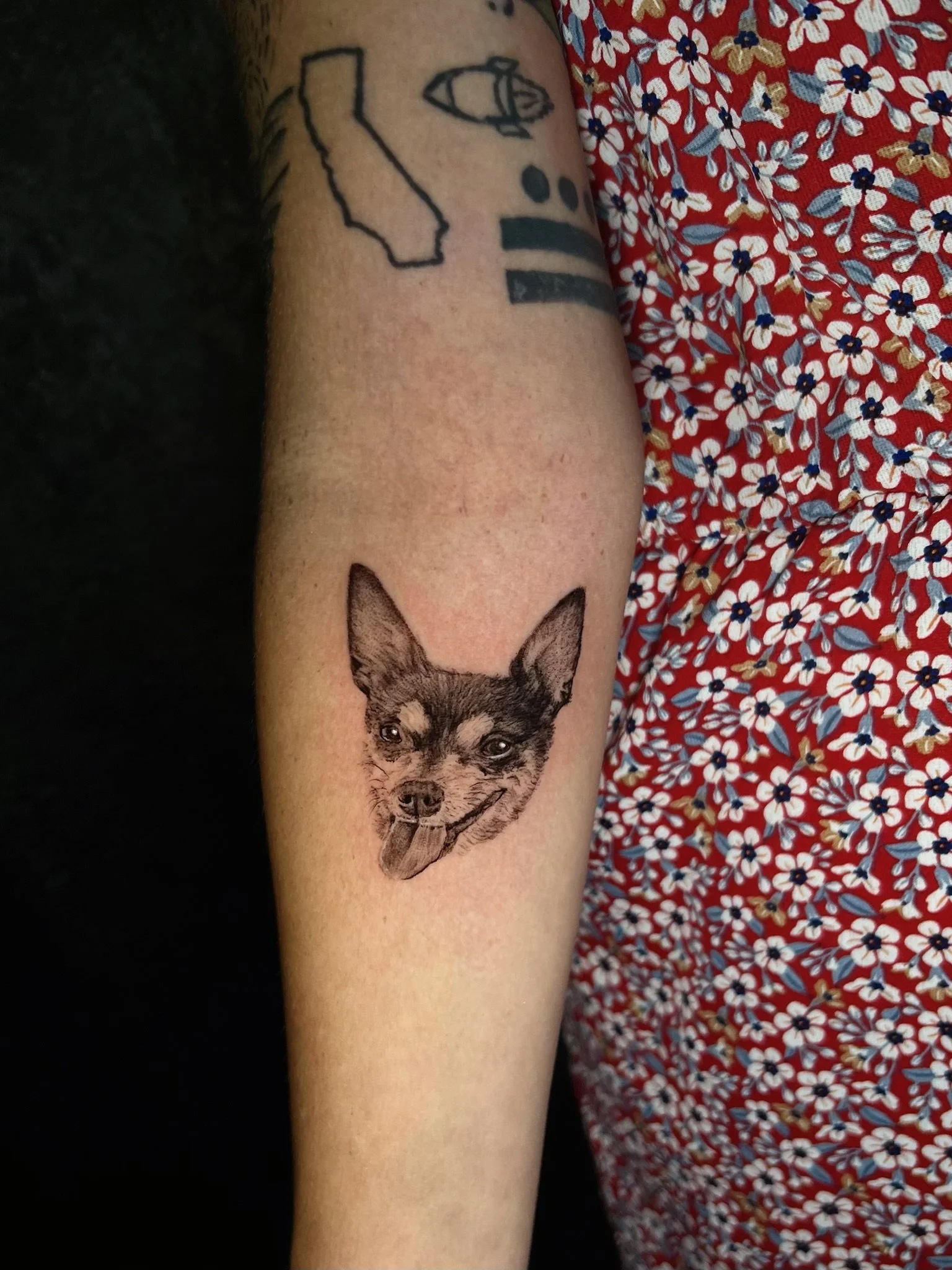 Tattoo of a realistic dog face with tongue out on person's forearm, wearing a red floral shirt.