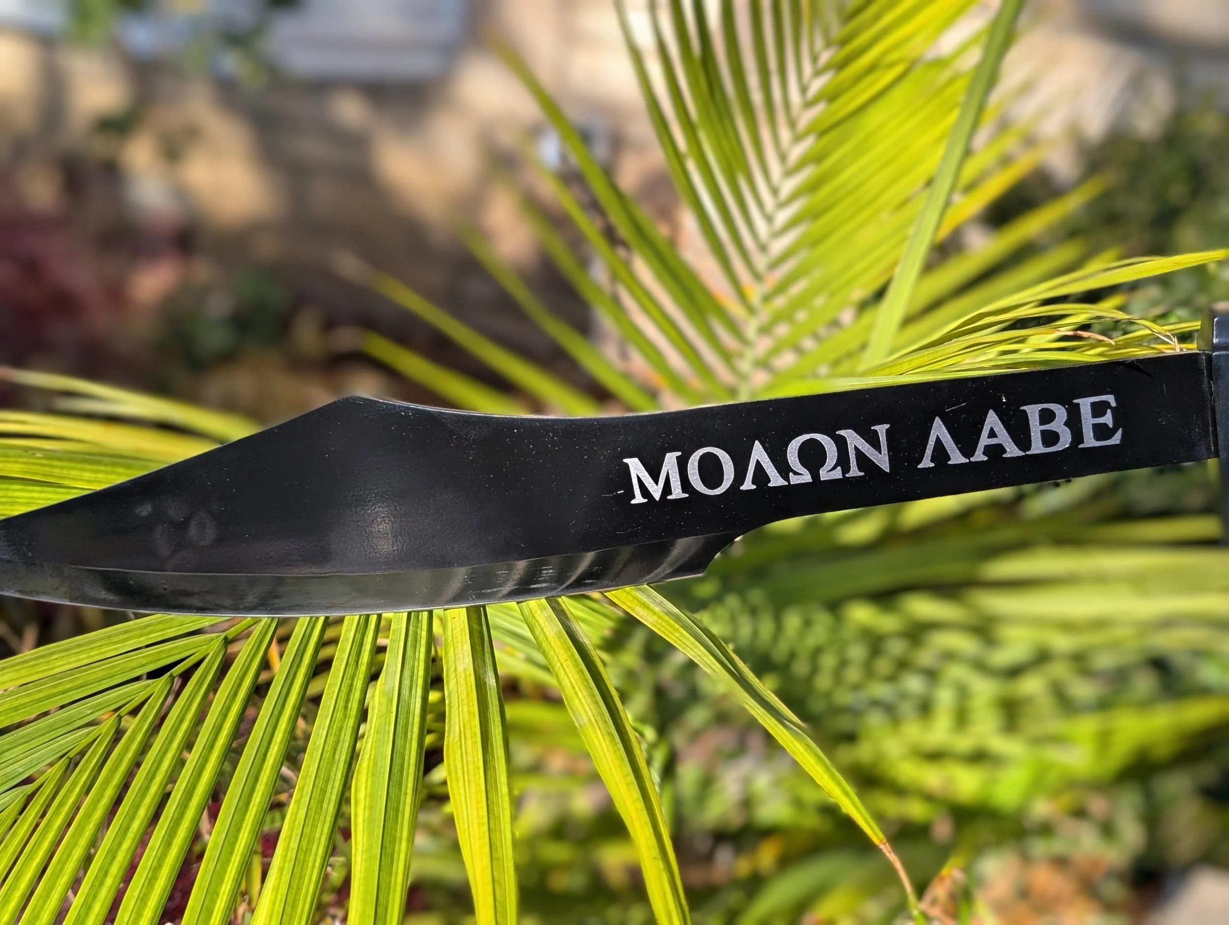 A pair of black gardening scissors with Greek letters on the blade, placed among green palm leaves.