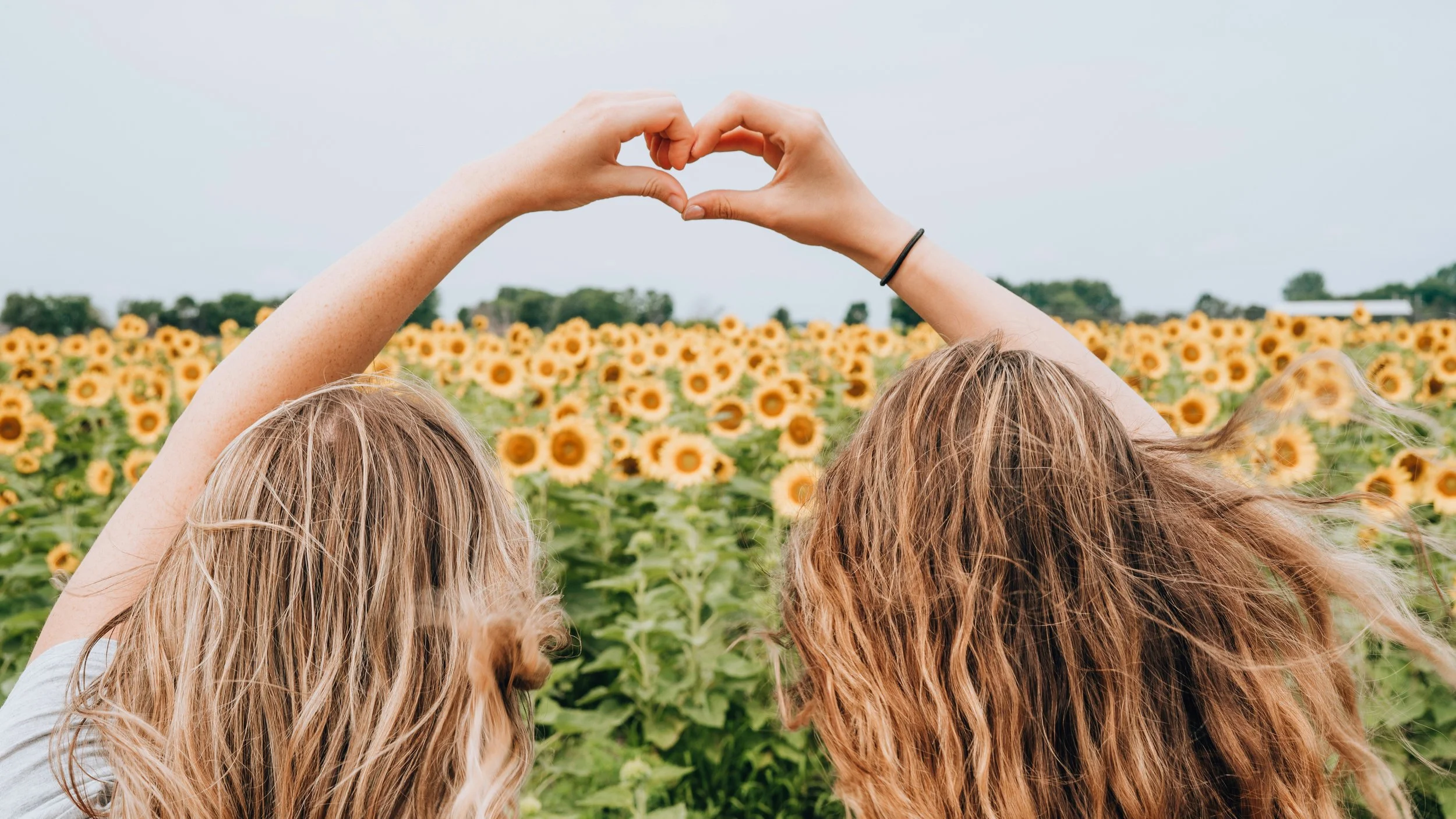 Two women with long, wavy hair facing away, making a heart shape with their hands over a sunflower field during daytime.