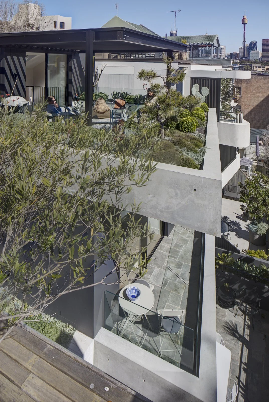 High end home renovation roof top garden eco outdoor stone Potts Point NSW Arte Constructions