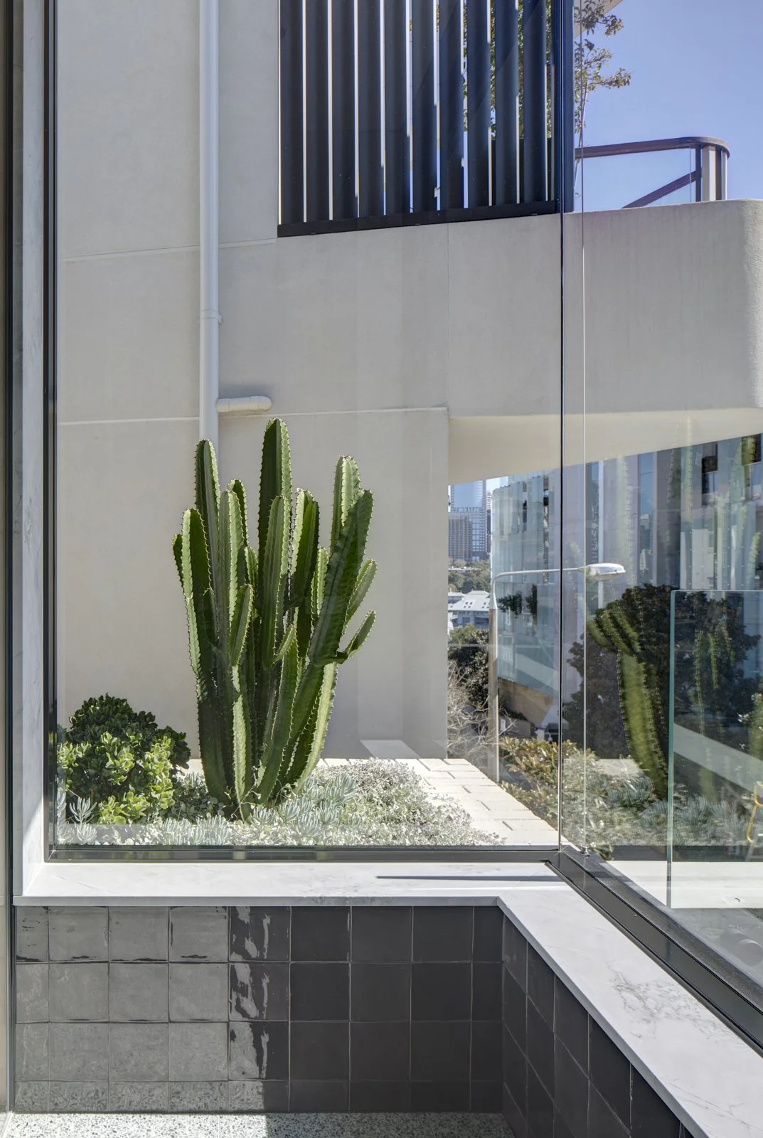 bathroom window in shower looking over garden