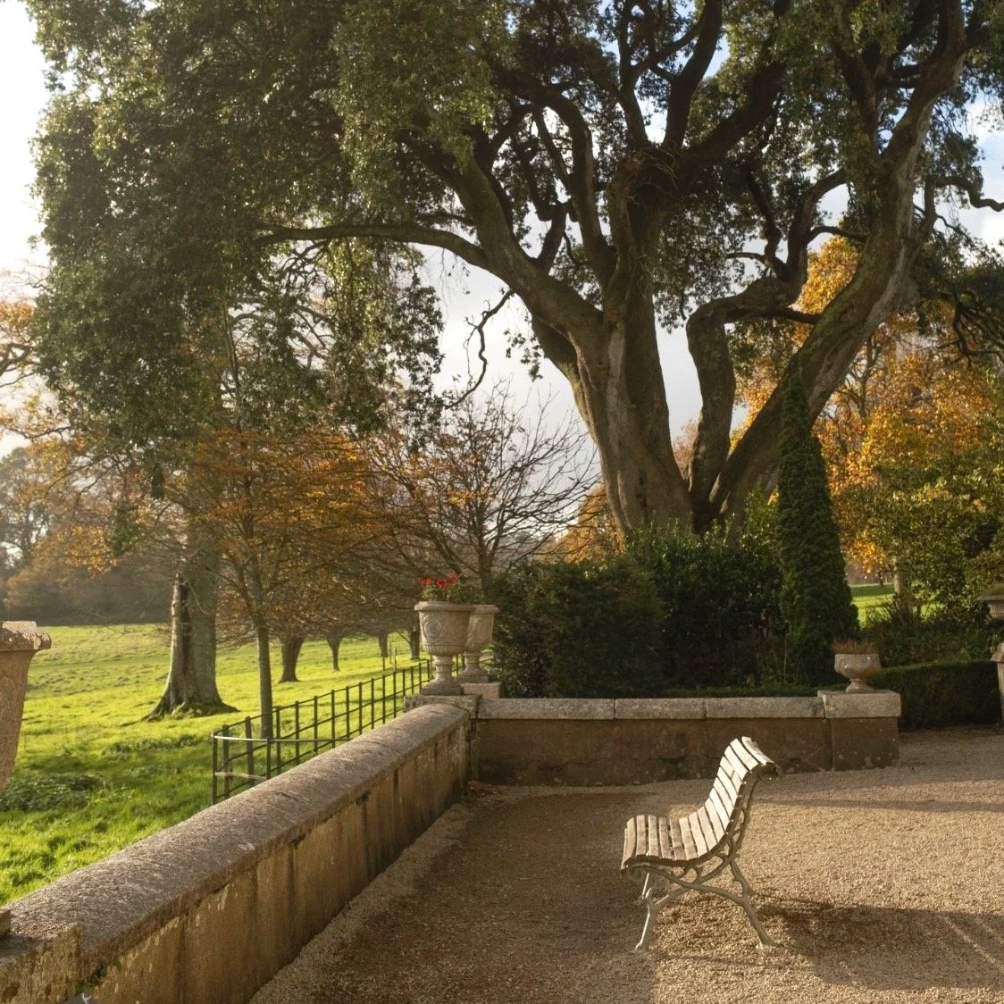 An empty bench on a terrace with a tree in the background.