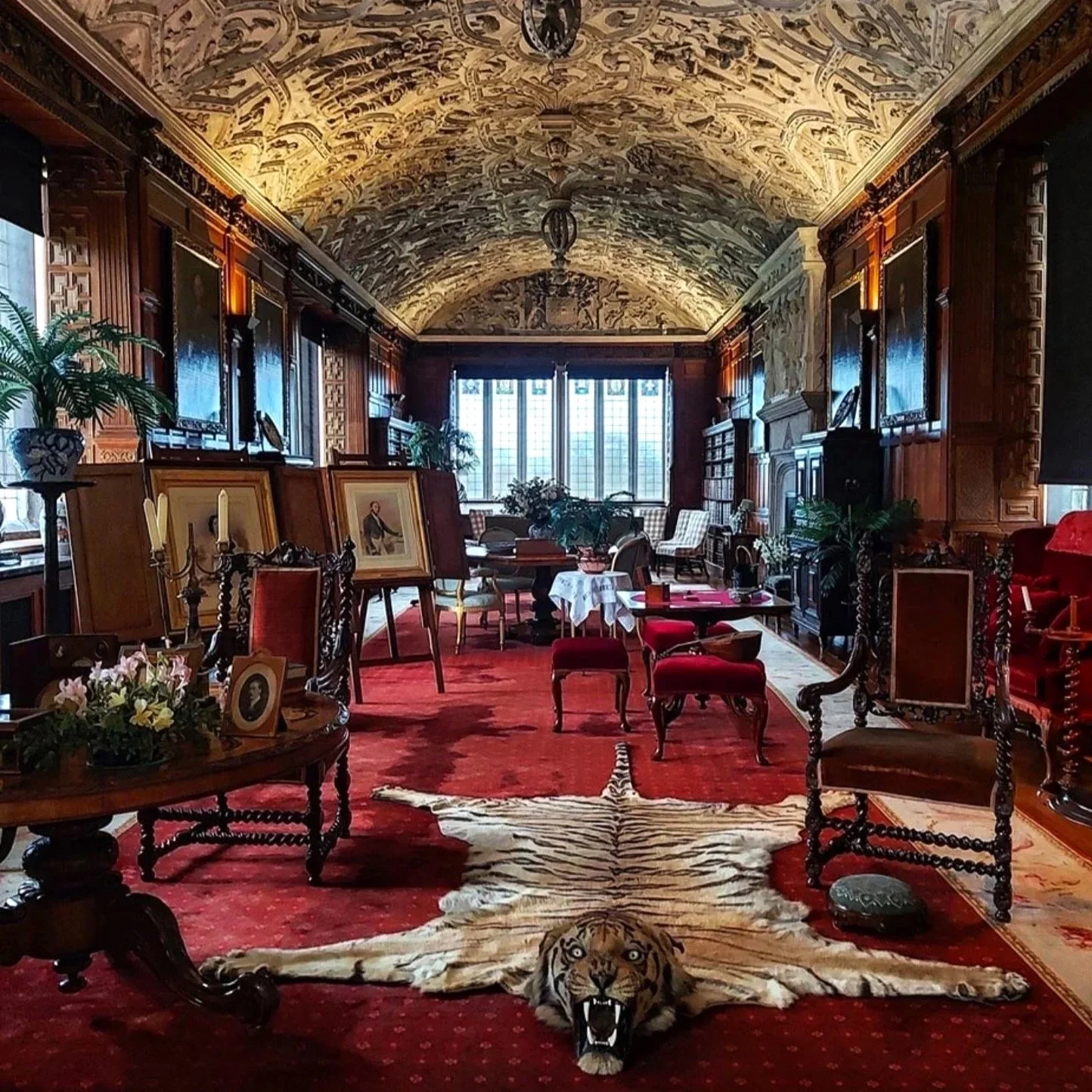 A tiger skin rug surrounded by furniture in the grand gallery at Lanhydrock House in Cornwall.