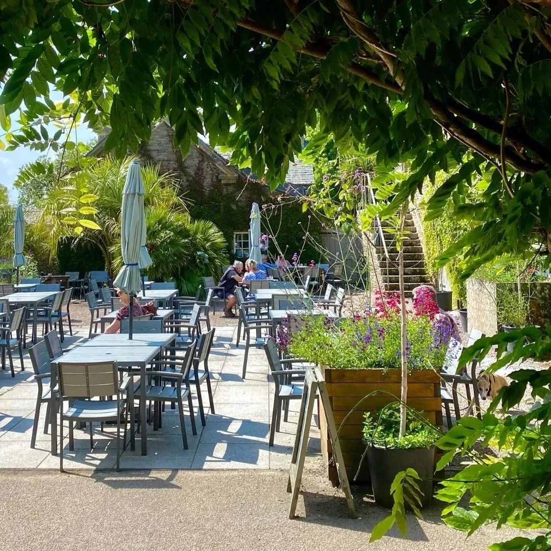 Outdoor tables and chairs at the cafe at Trelissick in Cornwall.