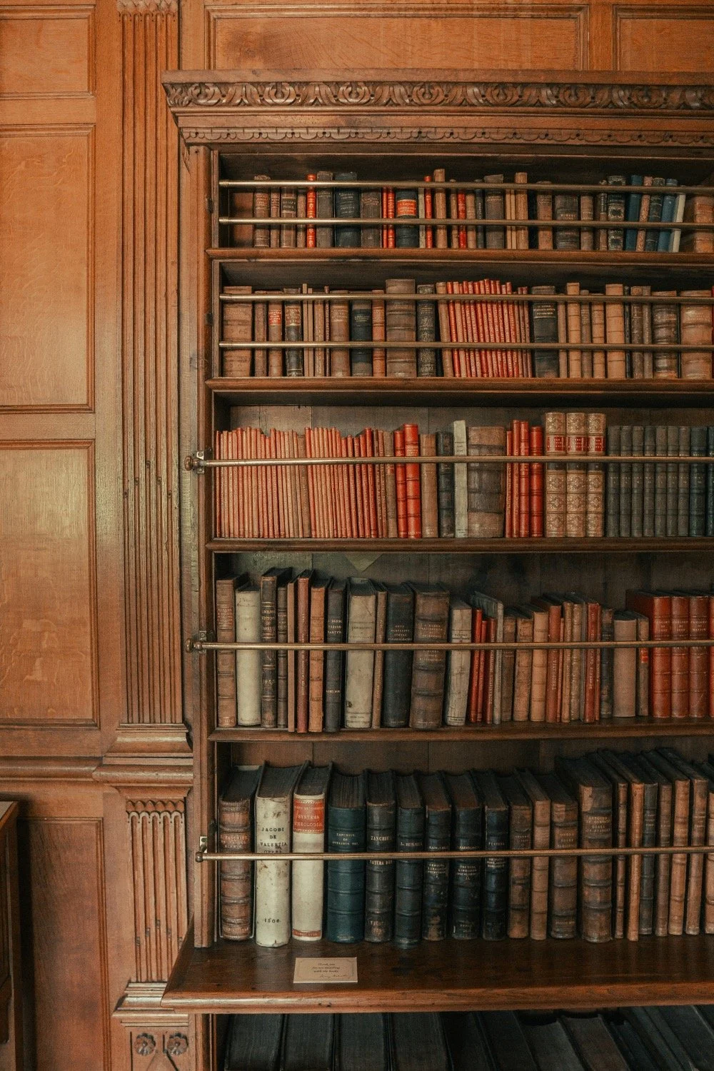 An alcove bookshelf containing leather-bound books.