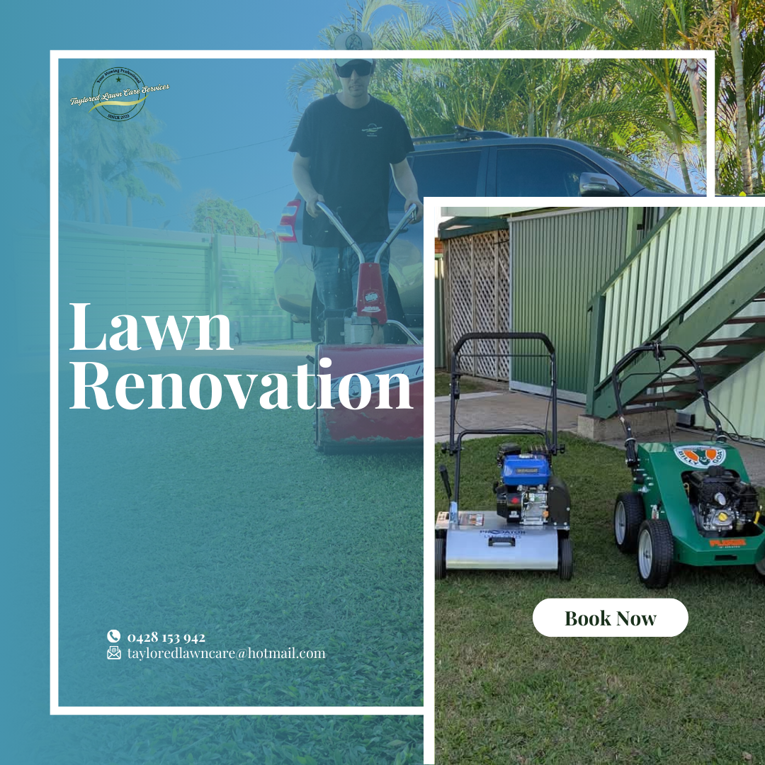 Lawn Renovation