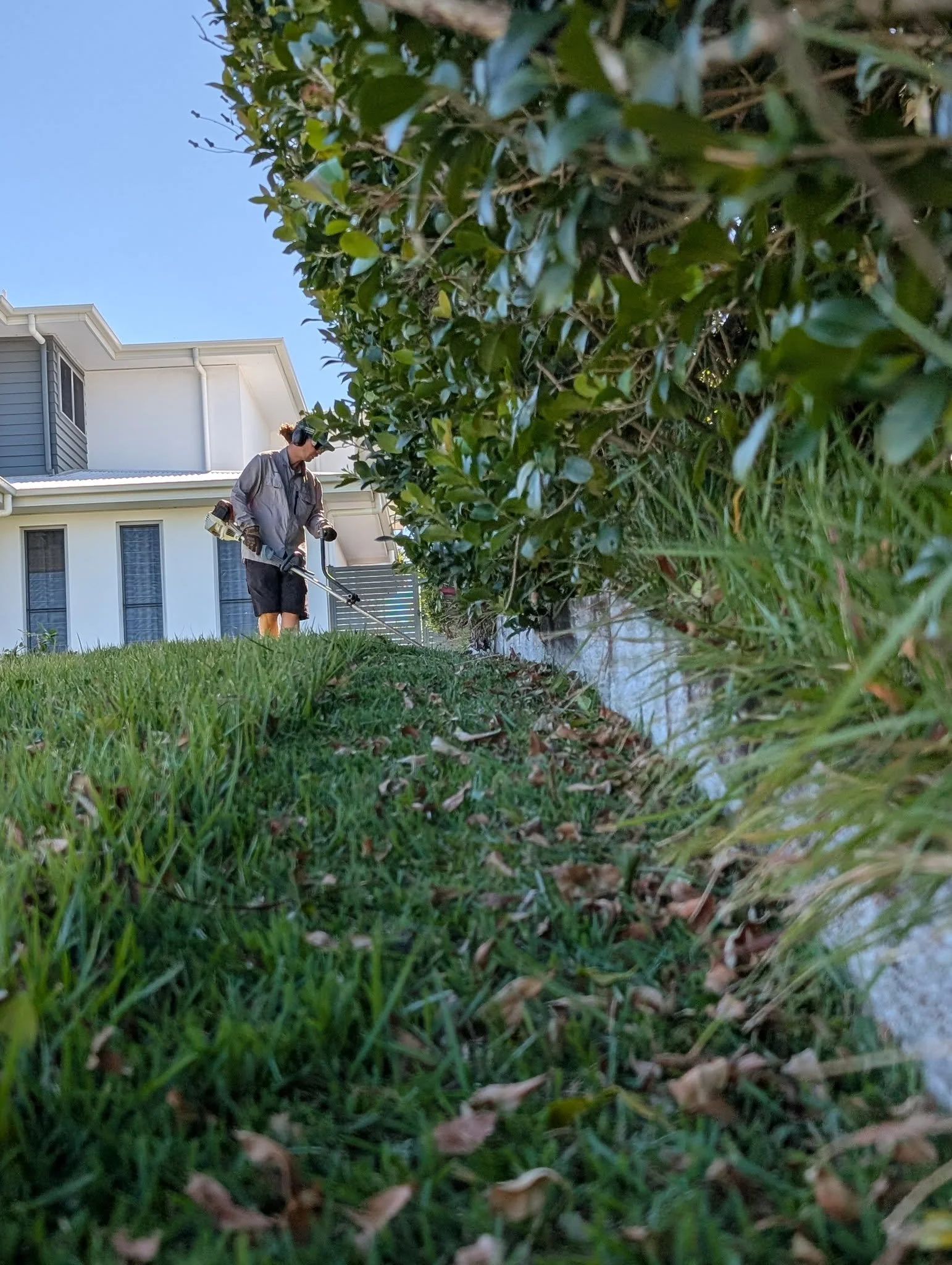 Lawn Care Consulting