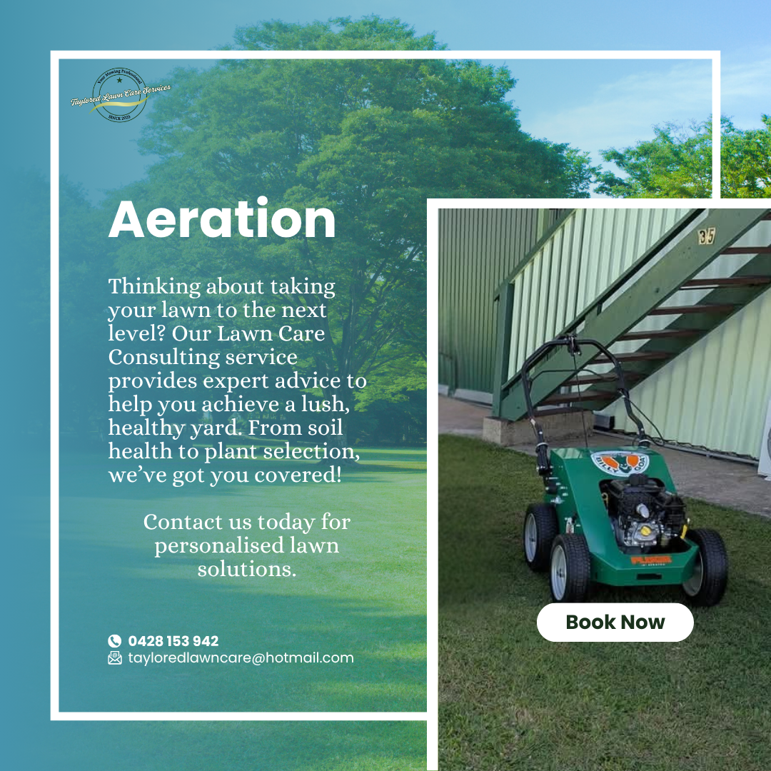 Aeration & Scarifying
