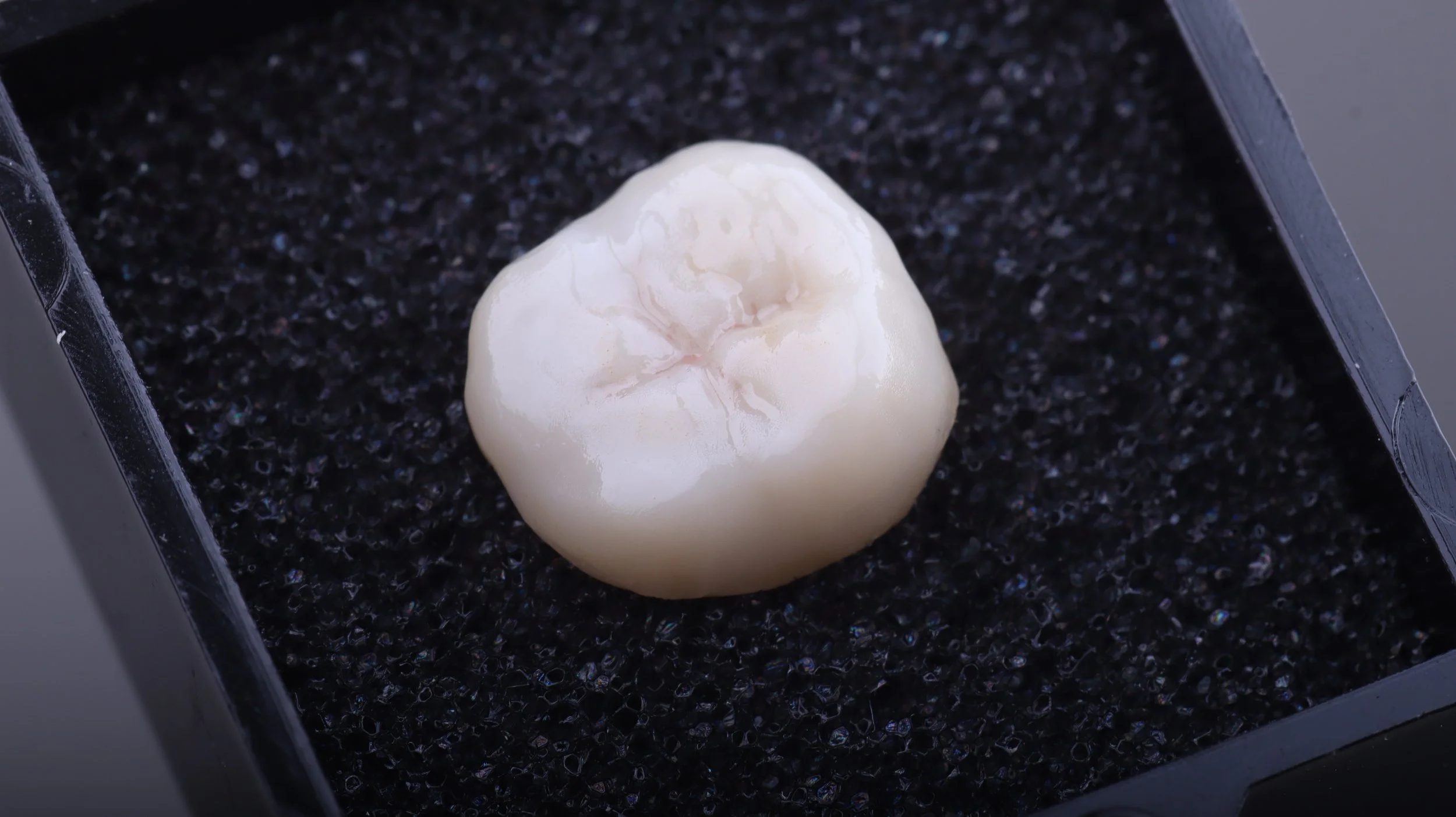 Corona de zirconia monolítica, caracterización simple