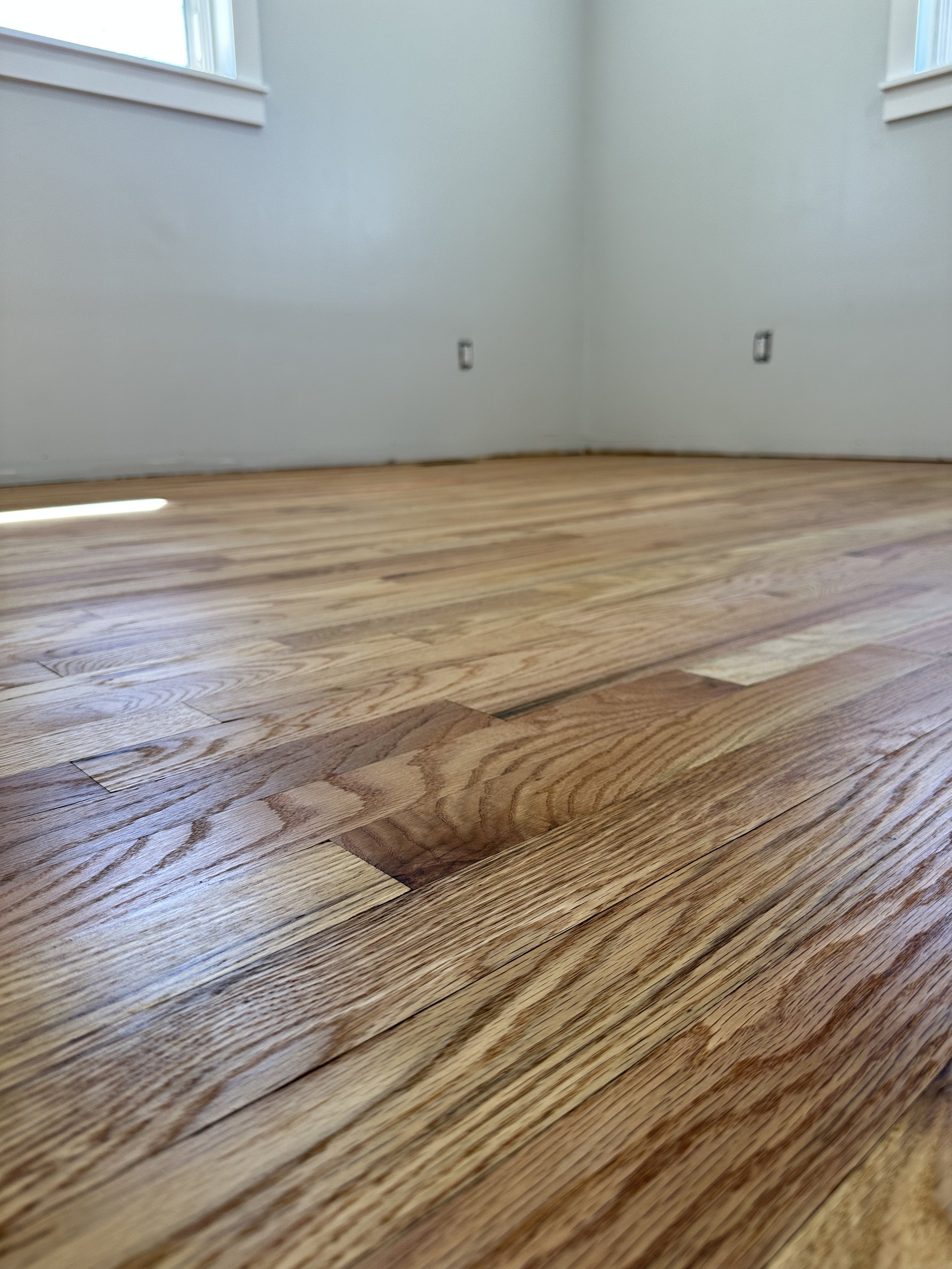 Empty room with hardwood flooring, light-colored walls, and two windows.