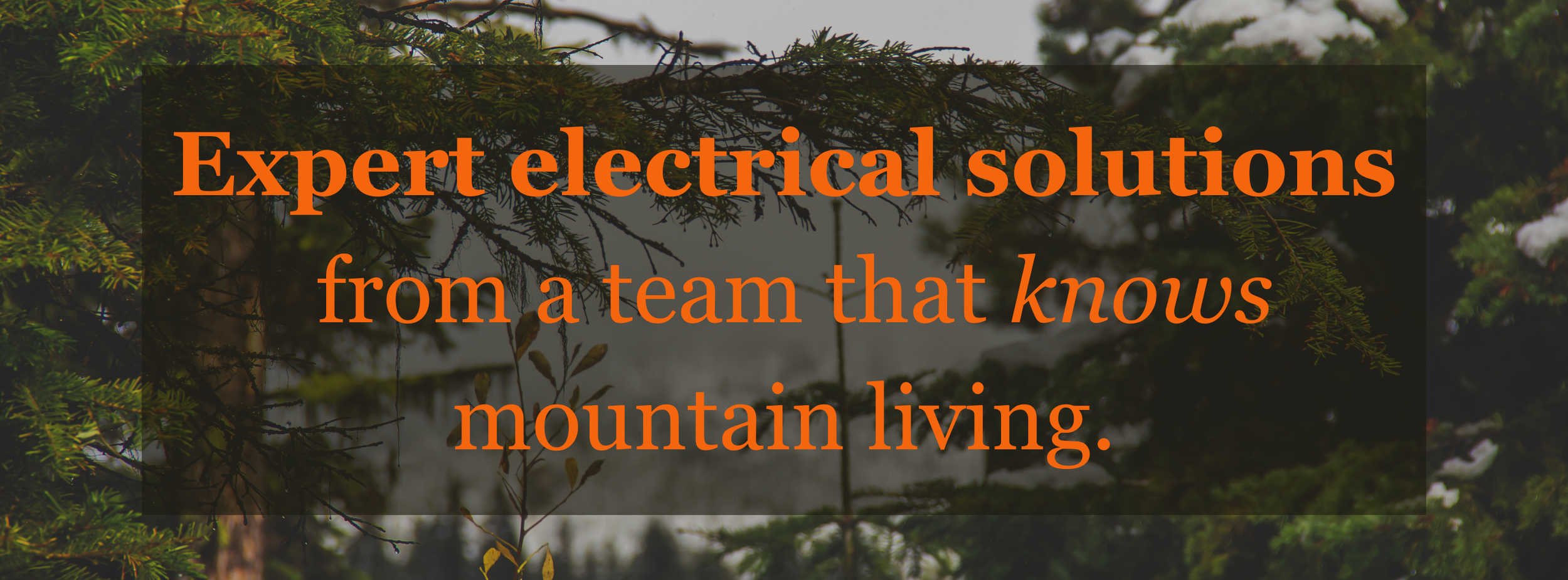 Expert electrical solutions from a team that knows mountain living; photo of mountain trees glistening in Donnelly, Idaho.