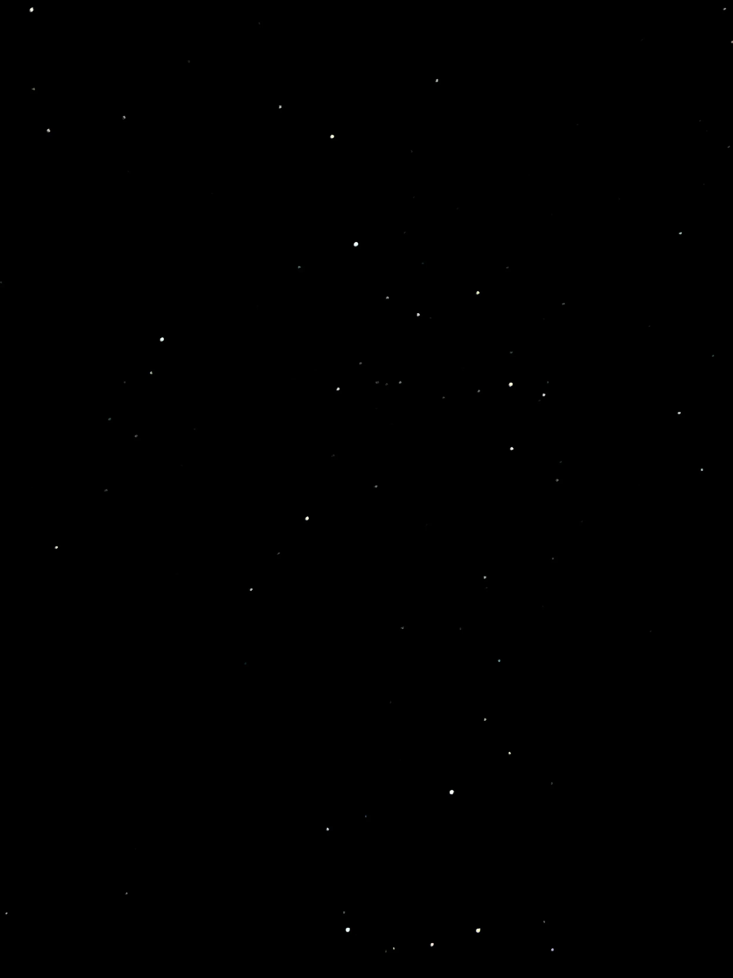 IMG_3364.jpeg