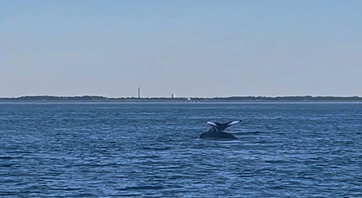IMG_6136.jpeg
