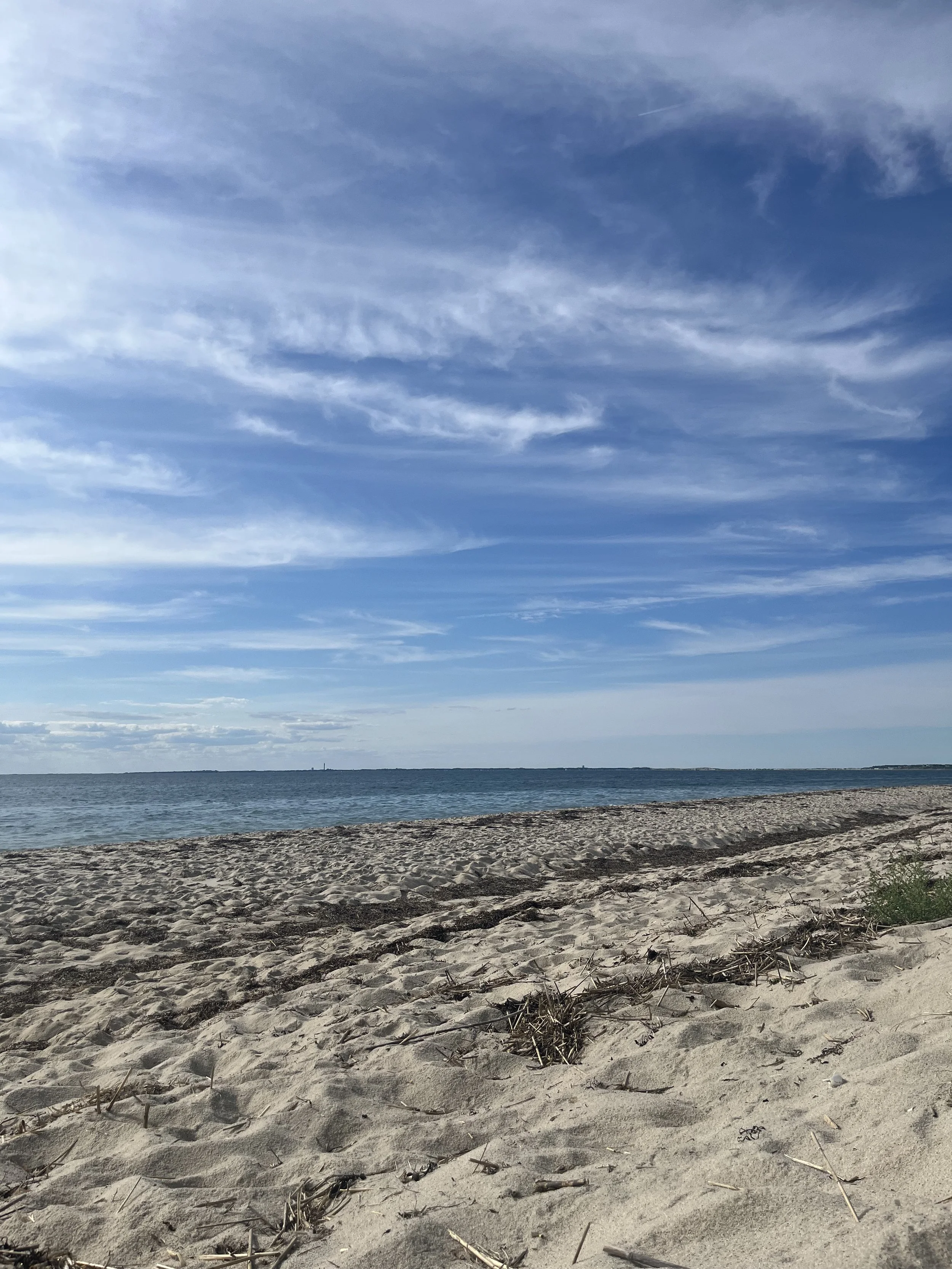 IMG_3233.jpeg