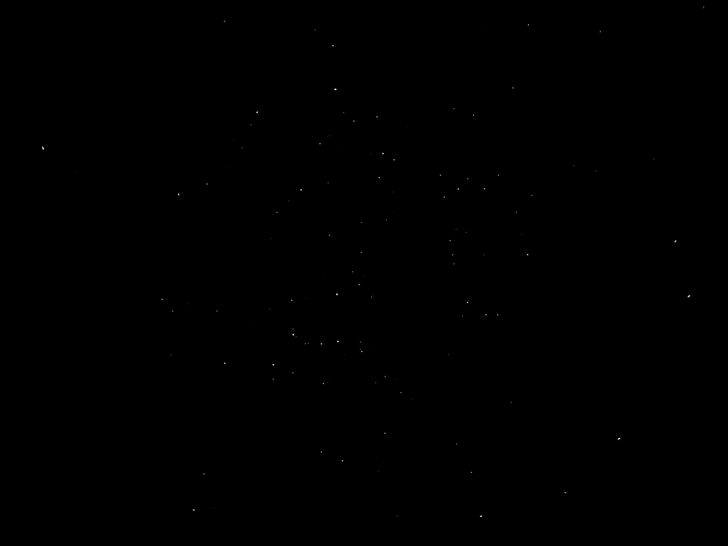 IMG_3385.jpeg