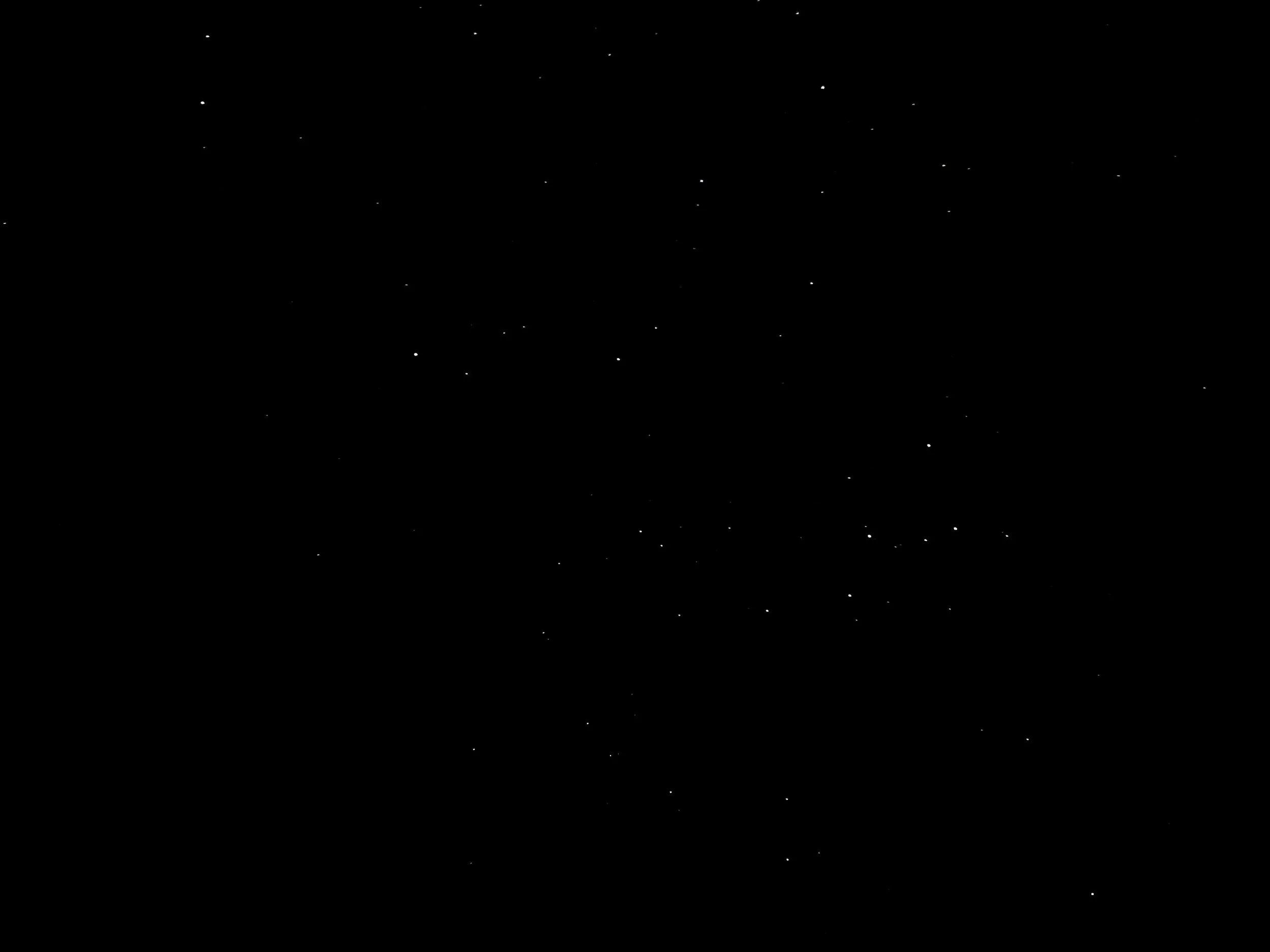 IMG_3384.jpeg