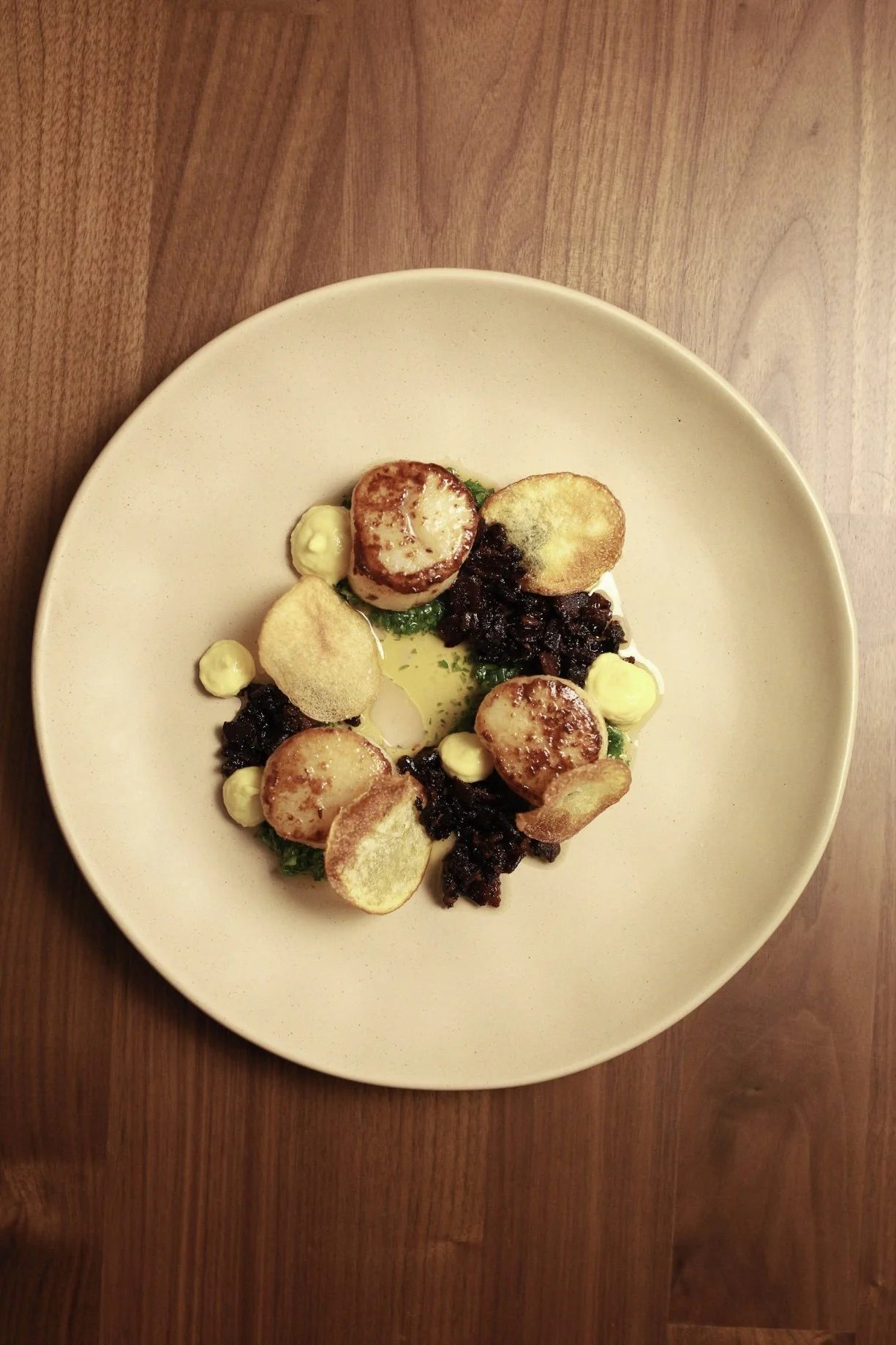 A plated dish with seared scallops, potato chips, dark sauce, and small dollops of a yellow sauce on a white plate.