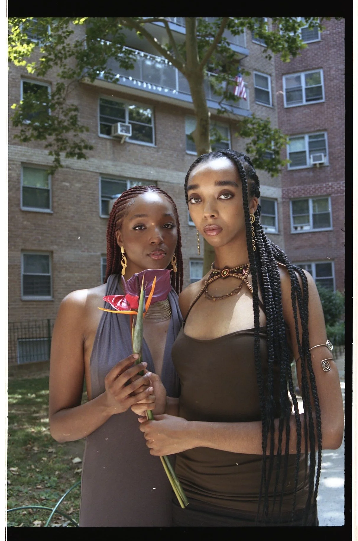 All About Lioness: Thrifted Finds, Healing our Hearts &amp; Honoring Community 