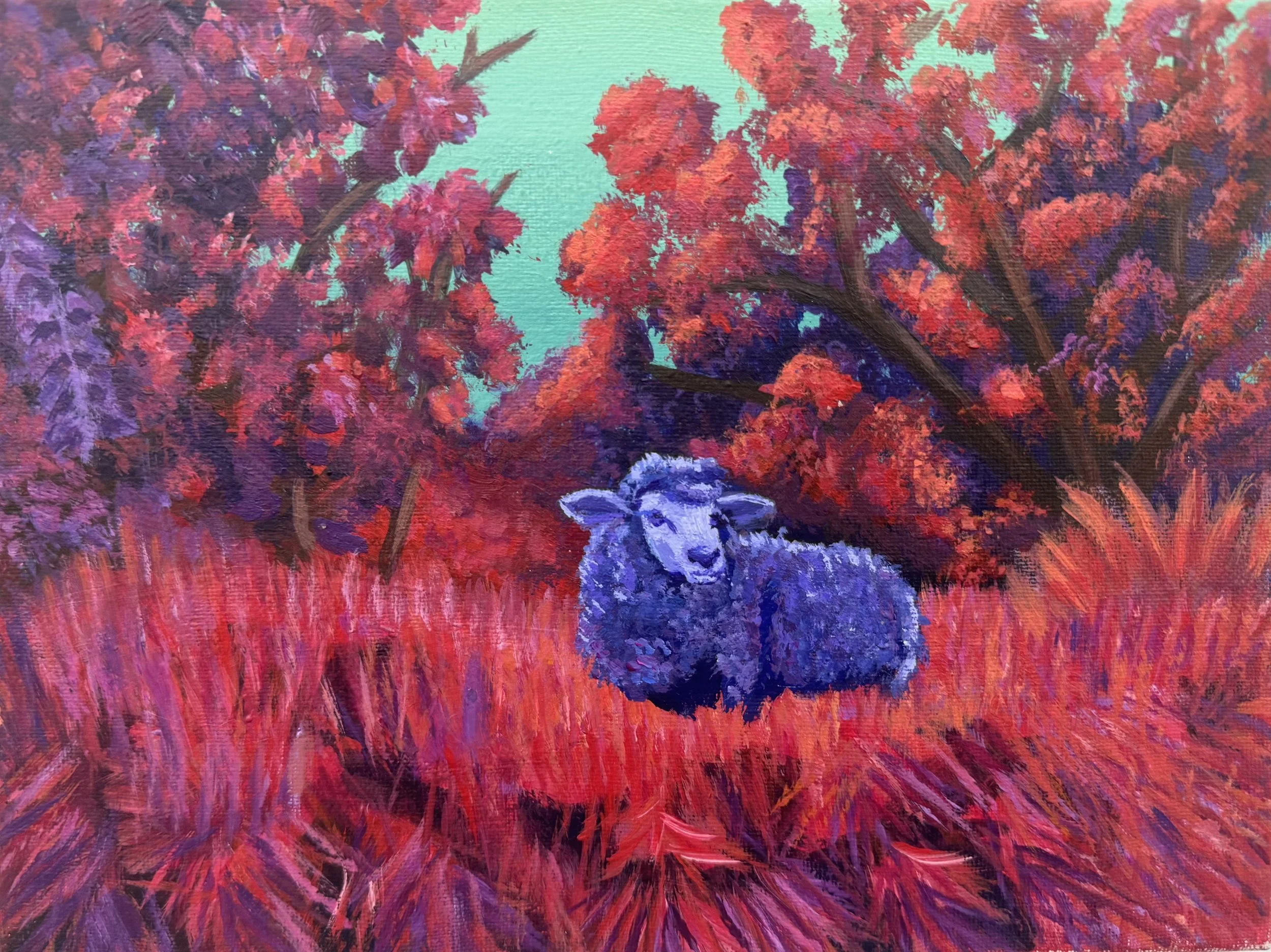 "Red Sheep", 2024​. Acrylic paint on canvas.
16" x 24" inches