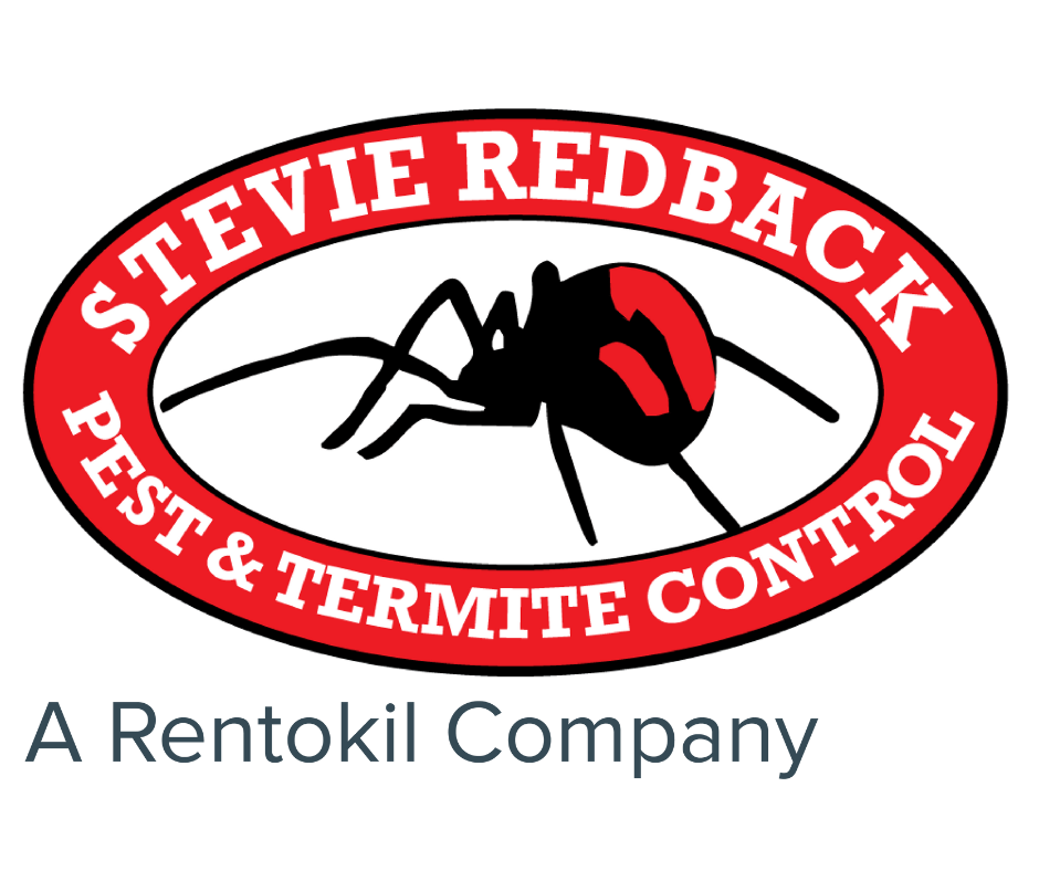 Logo of Steve Redback Pest & Termite Control featuring a red and black spider inside an oval with a red border and white background.
