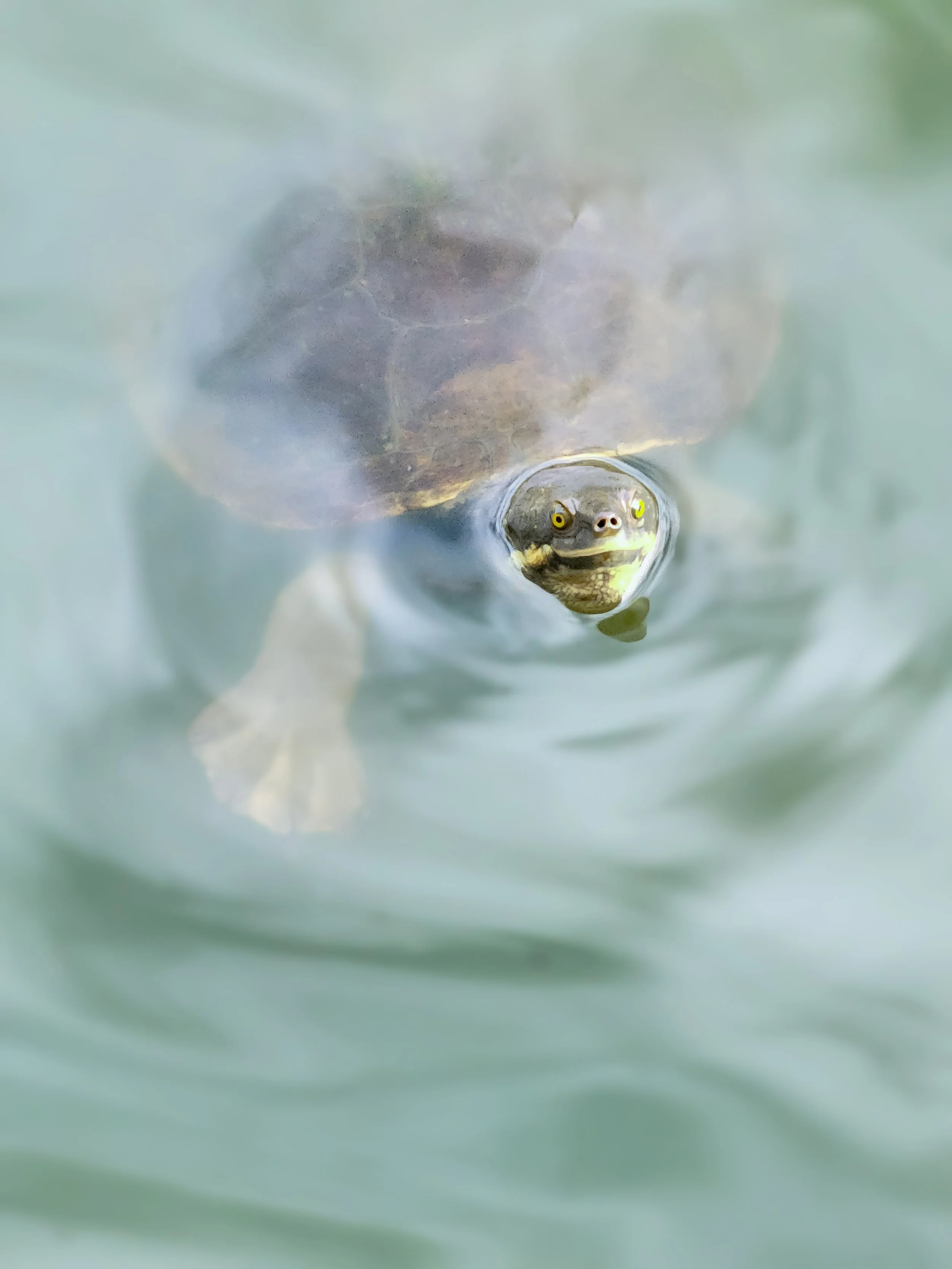 Two smiling round faces with simple features, and purple lines above one face forming a semi-arc.