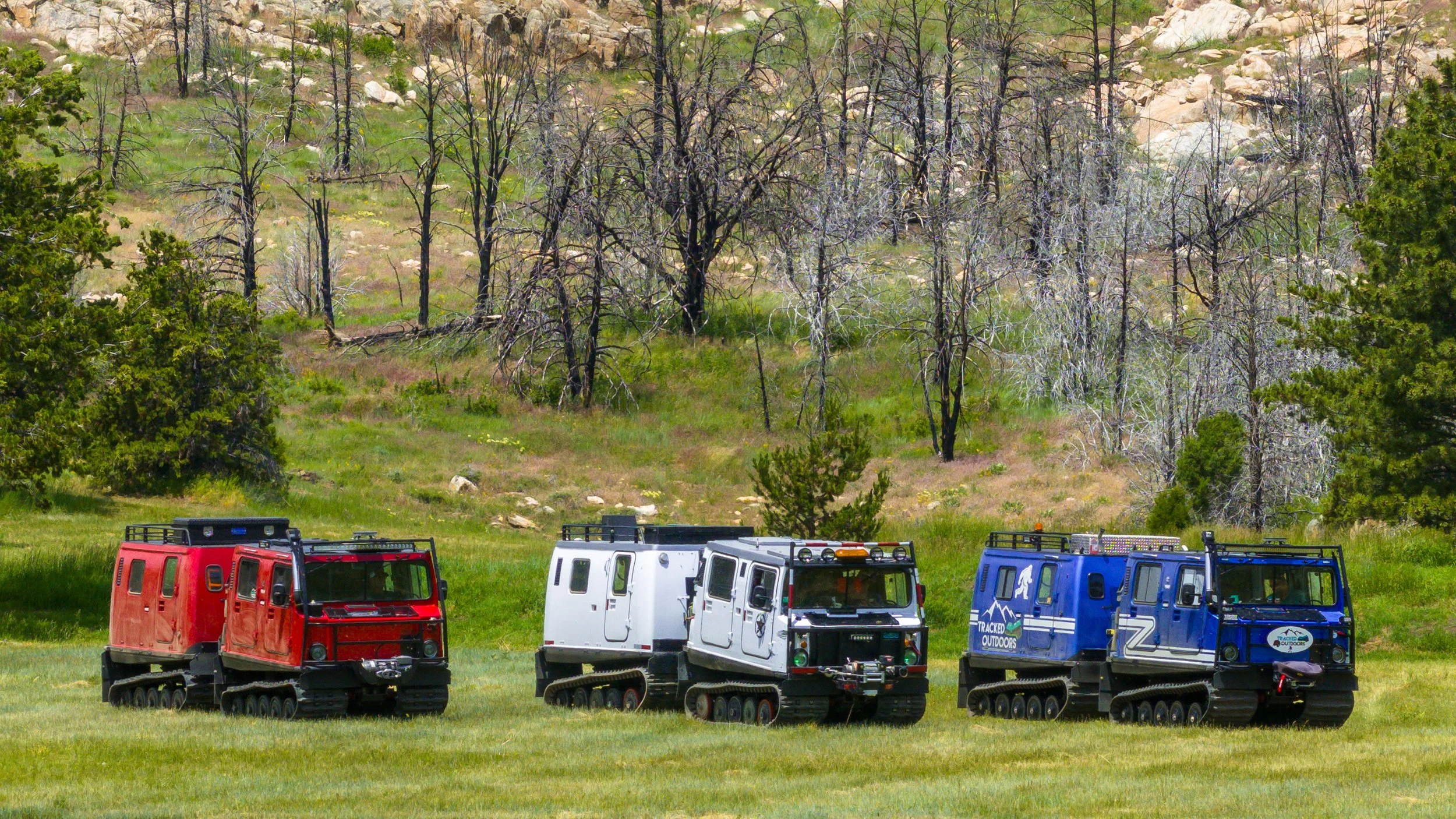 Hagglunds_Red White and Blue_1.jpg