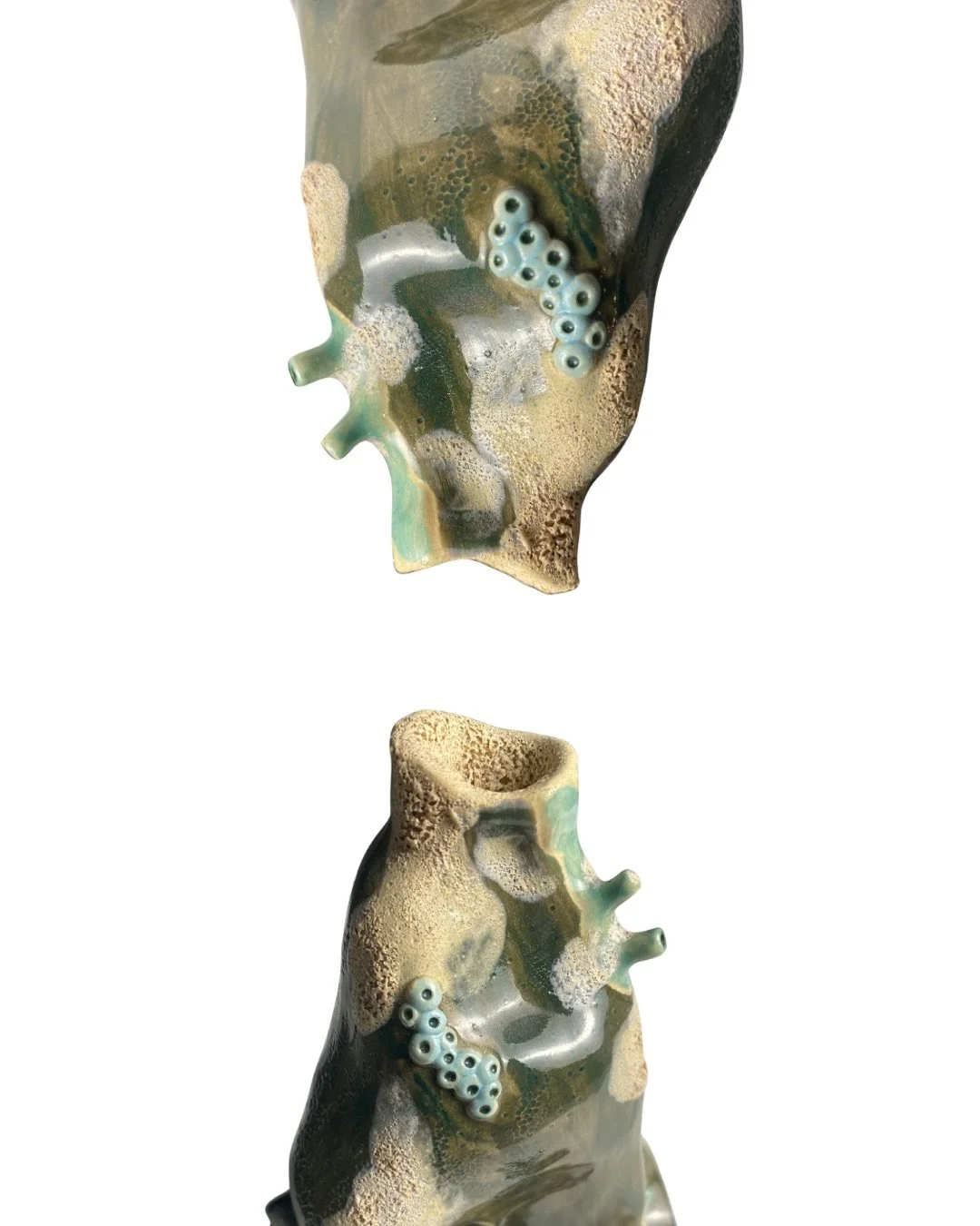 Untitled design - 3.JPG