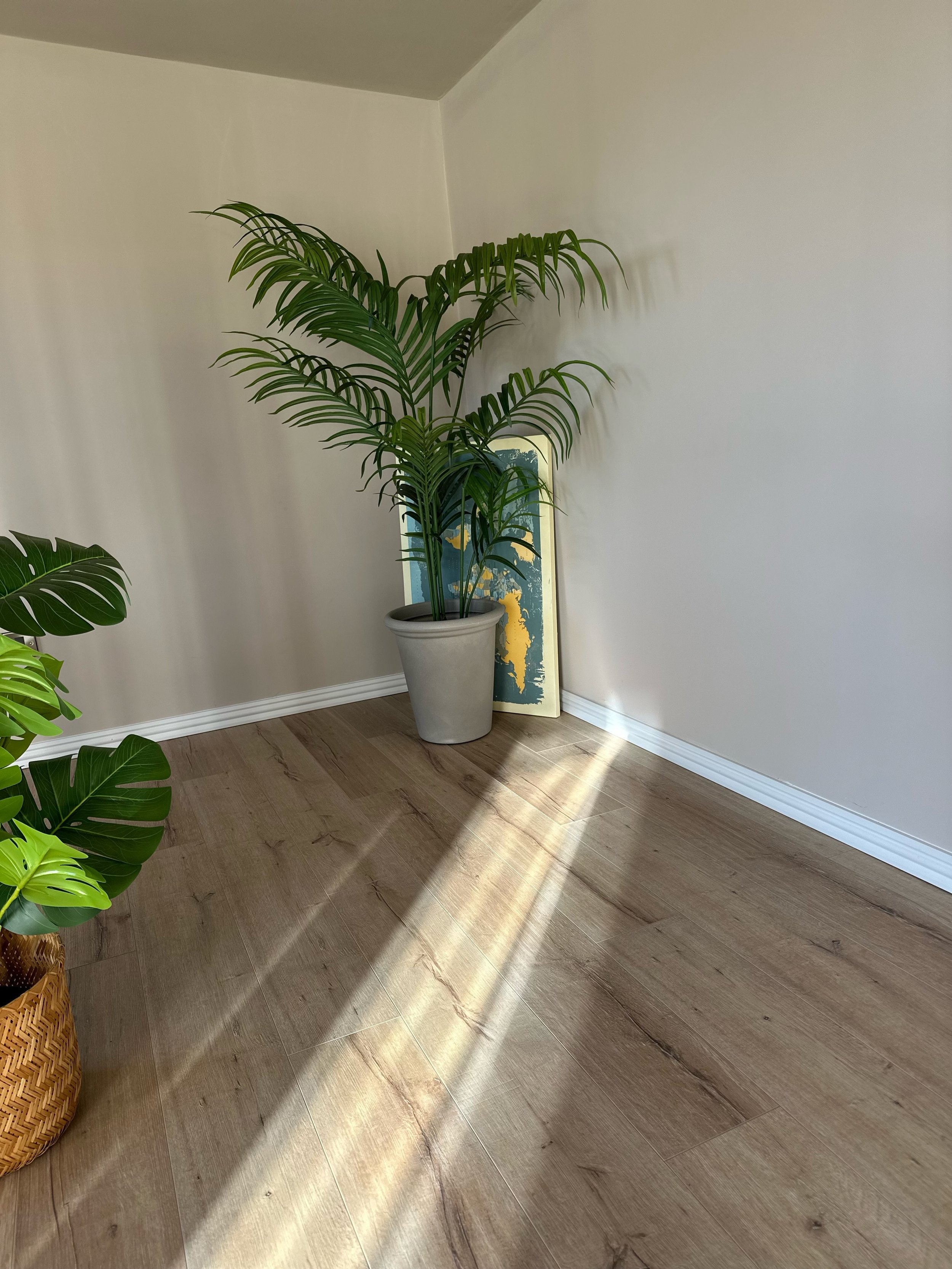 A room corner with a plant in a gray pot, a framed abstract art piece leaning against the wall, and a smaller plant in a woven basket on wood flooring with sunlight streaming in.