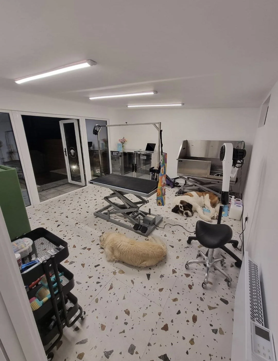 A veterinary clinic treatment room with dogs resting on the floor, grooming table, medical equipment, and supplies.