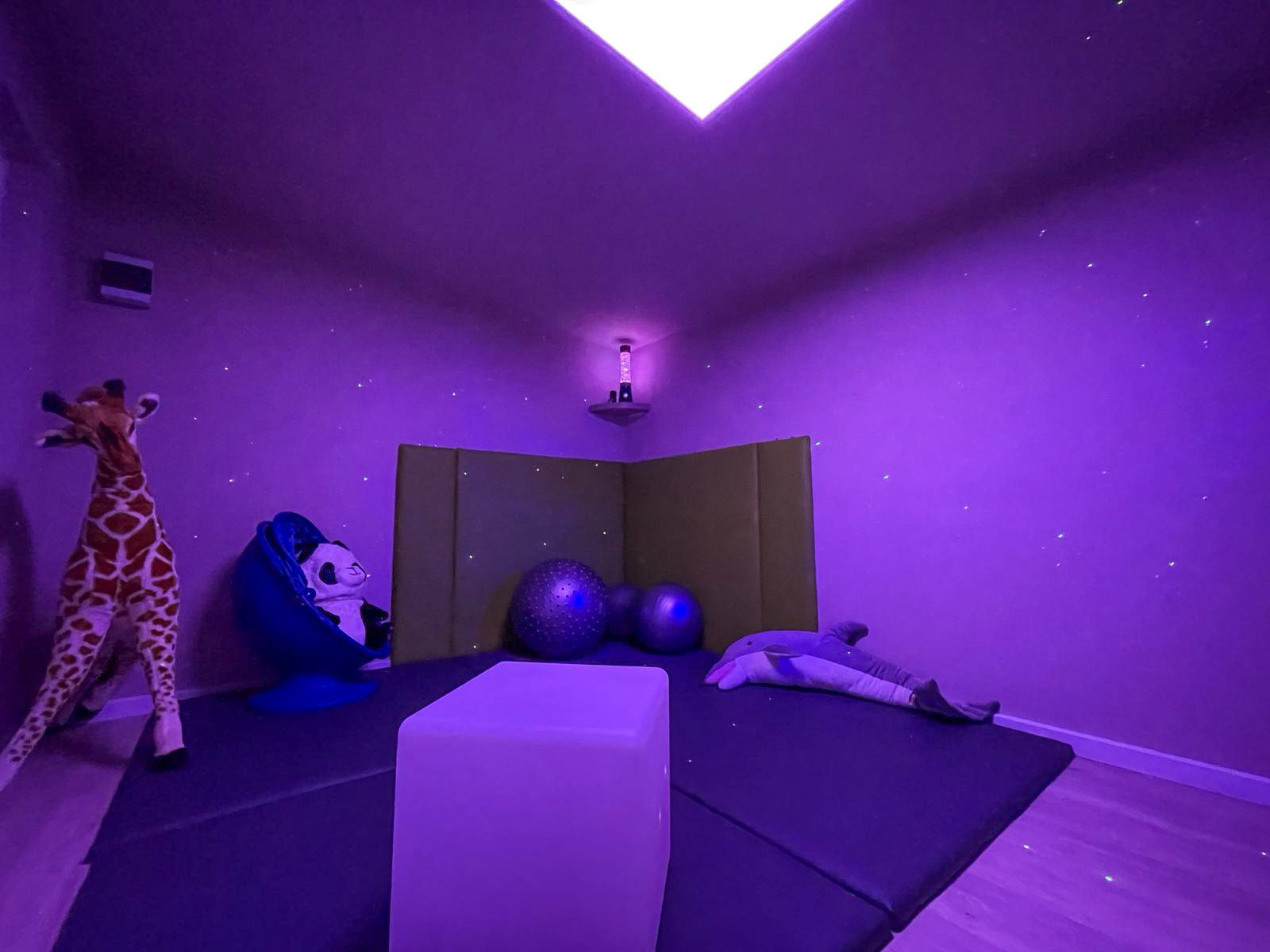 A sensory garden room built by Barna Buildings. This image captures a thoughtfully designed indoor sensory garden room (characterized by immersive lighting and a variety of tactile surfaces designed for relaxation and self-regulation. The room is bat