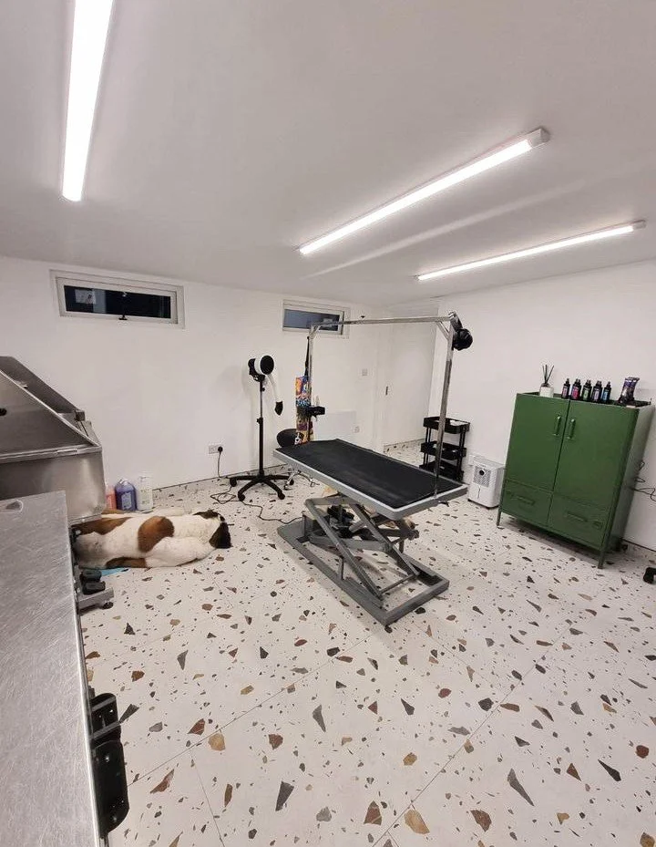 A clean pet grooming salon with a grooming table, a green cabinet, and a dog lying on the floor, possibly waiting for grooming.