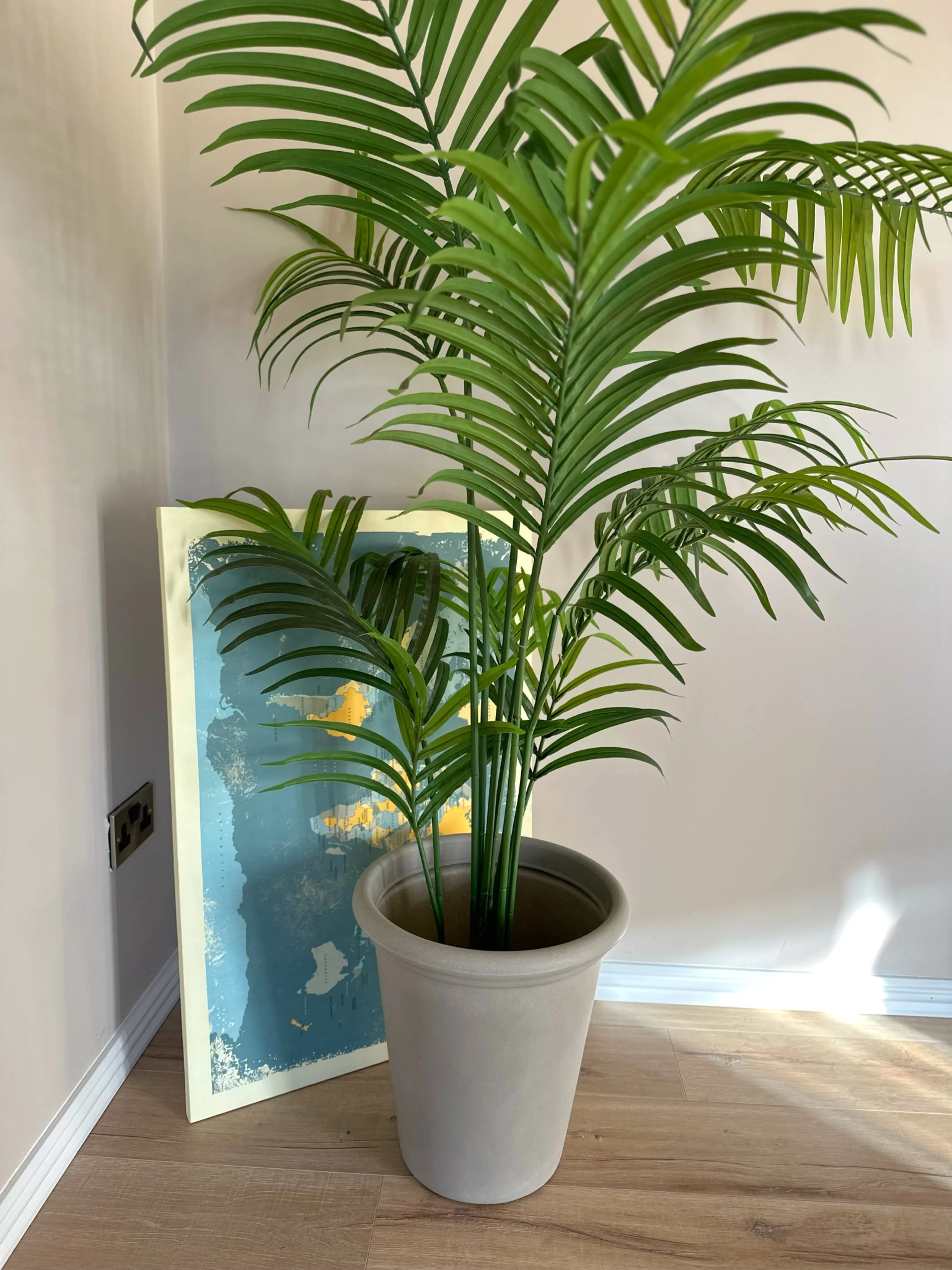 Indoor potted palm plant next to a framed artwork resting against the wall.