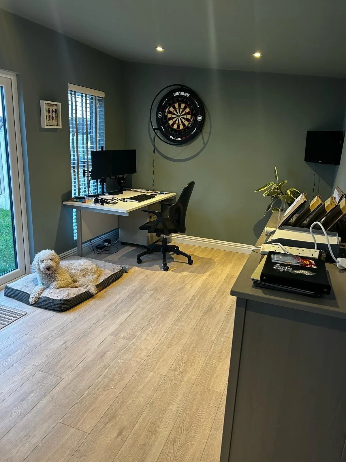 A home office with a desk, computer, office chair, dartboard on the wall, a window with blinds, a sliding glass door, a poodle lying on a dog bed, a second wall-mounted monitor, and a gray cabinet with files and office supplies. Home garden office.