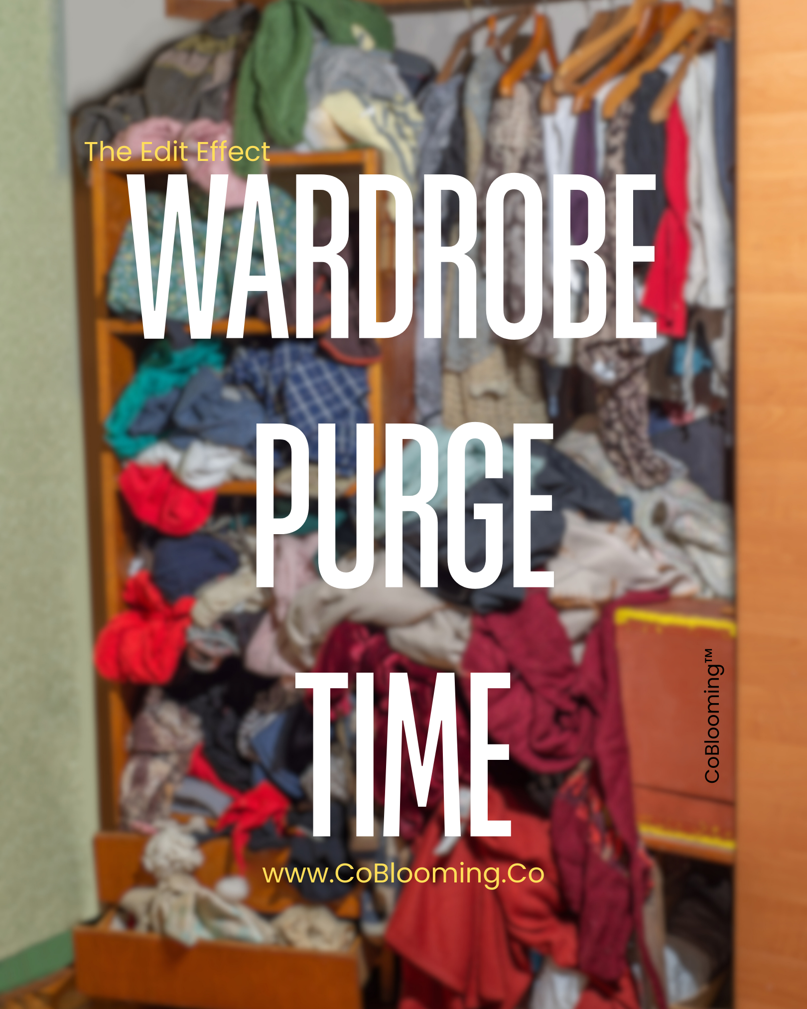 Wardrobe Reboot - Premium II