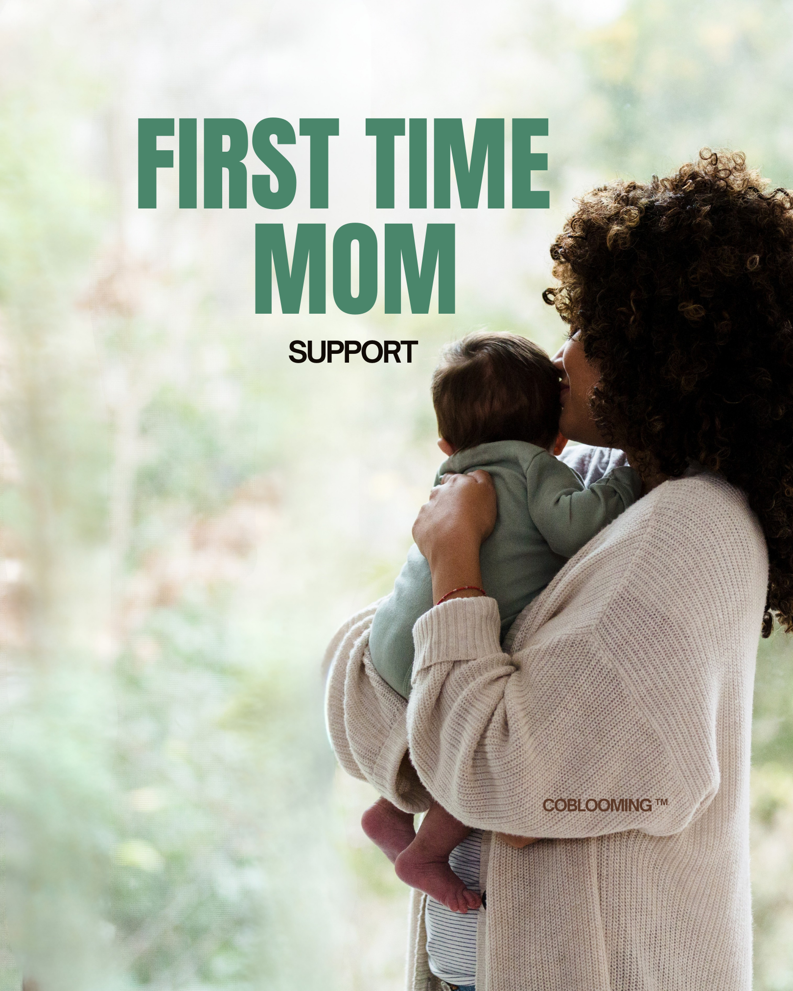 First Time Mom Support - Standard II