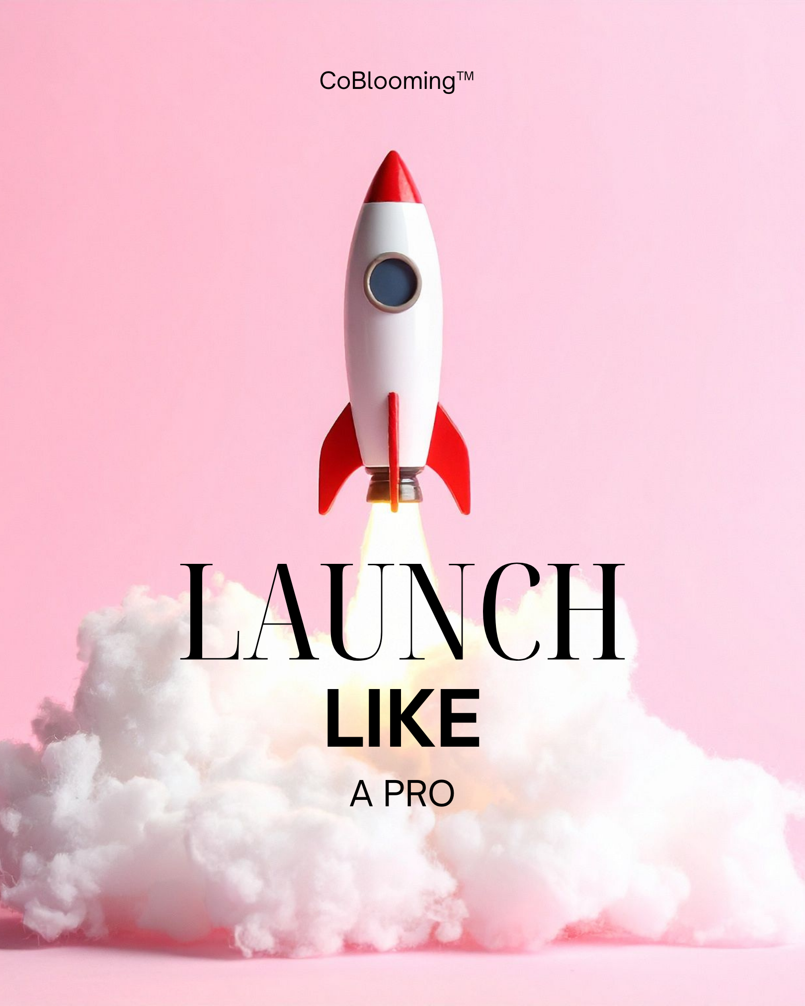 Launch With Clarity - Basic I