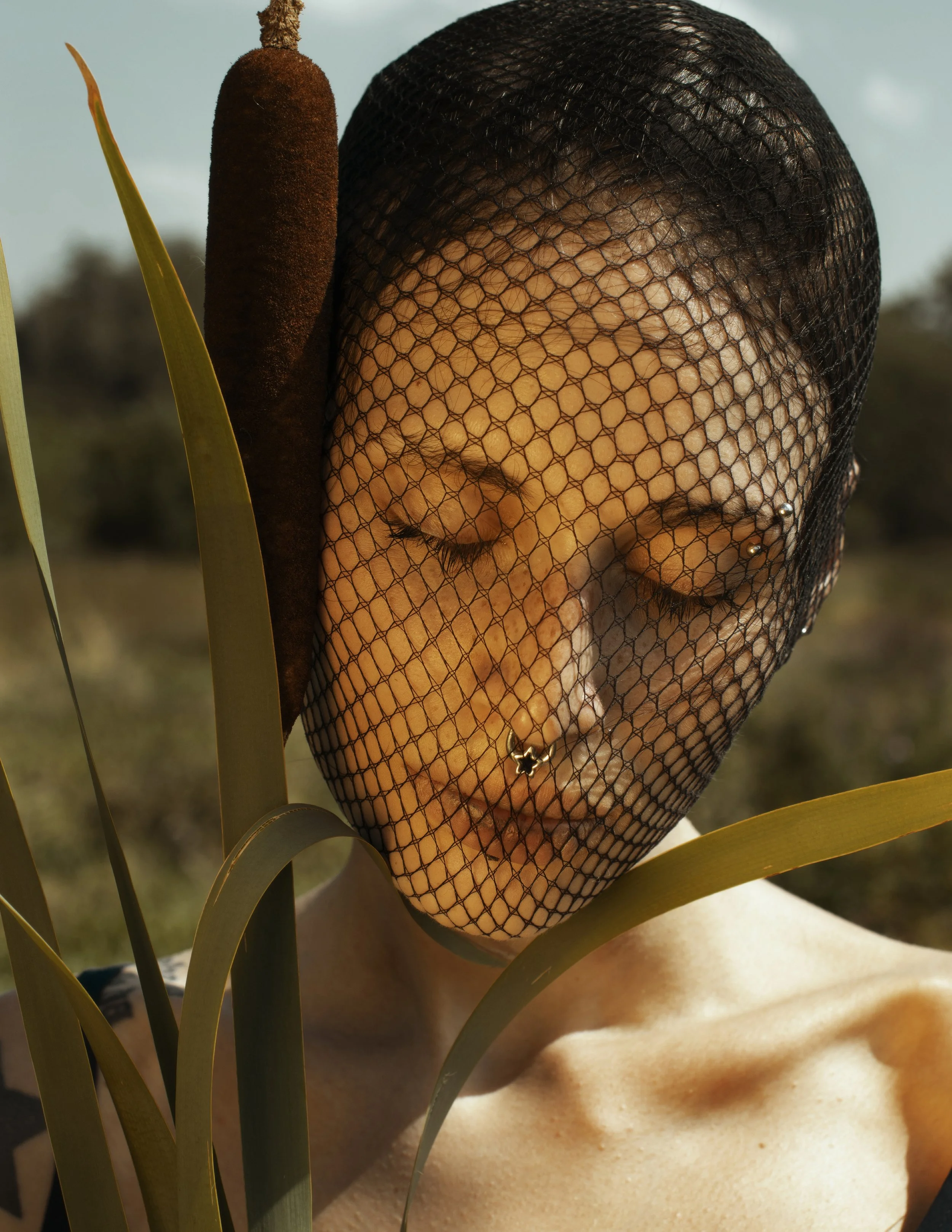 Egle Ellerman: Cells and Lines