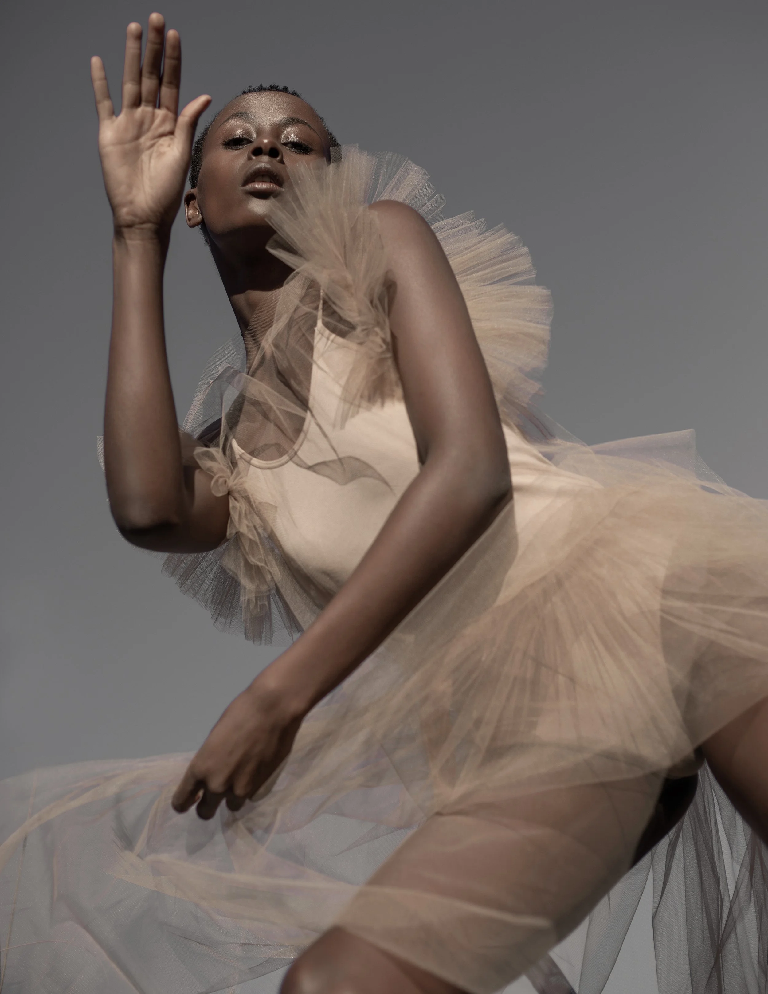 Eva Maria Brandt: Flower in the barren land